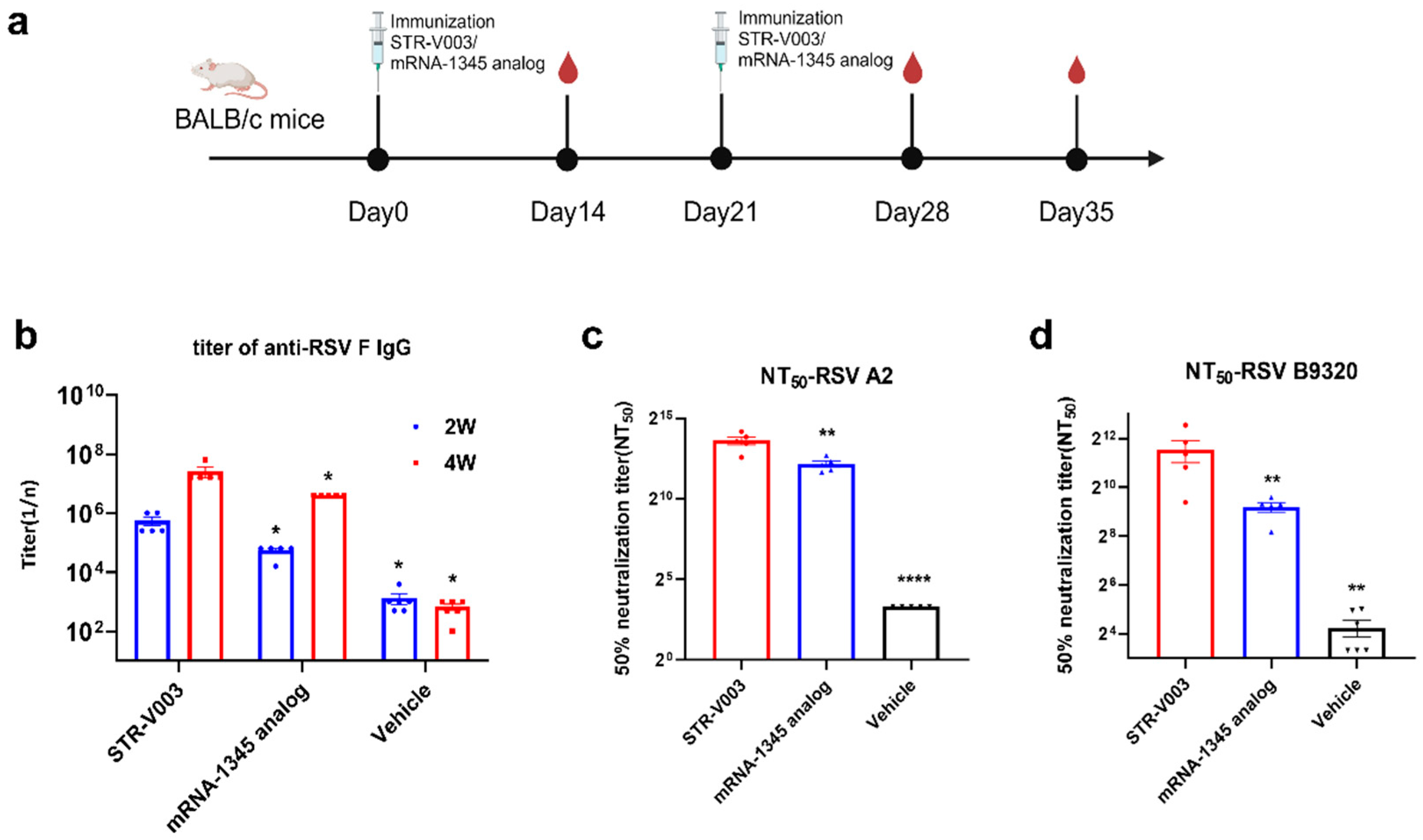 Vaccines 13 00625 g004