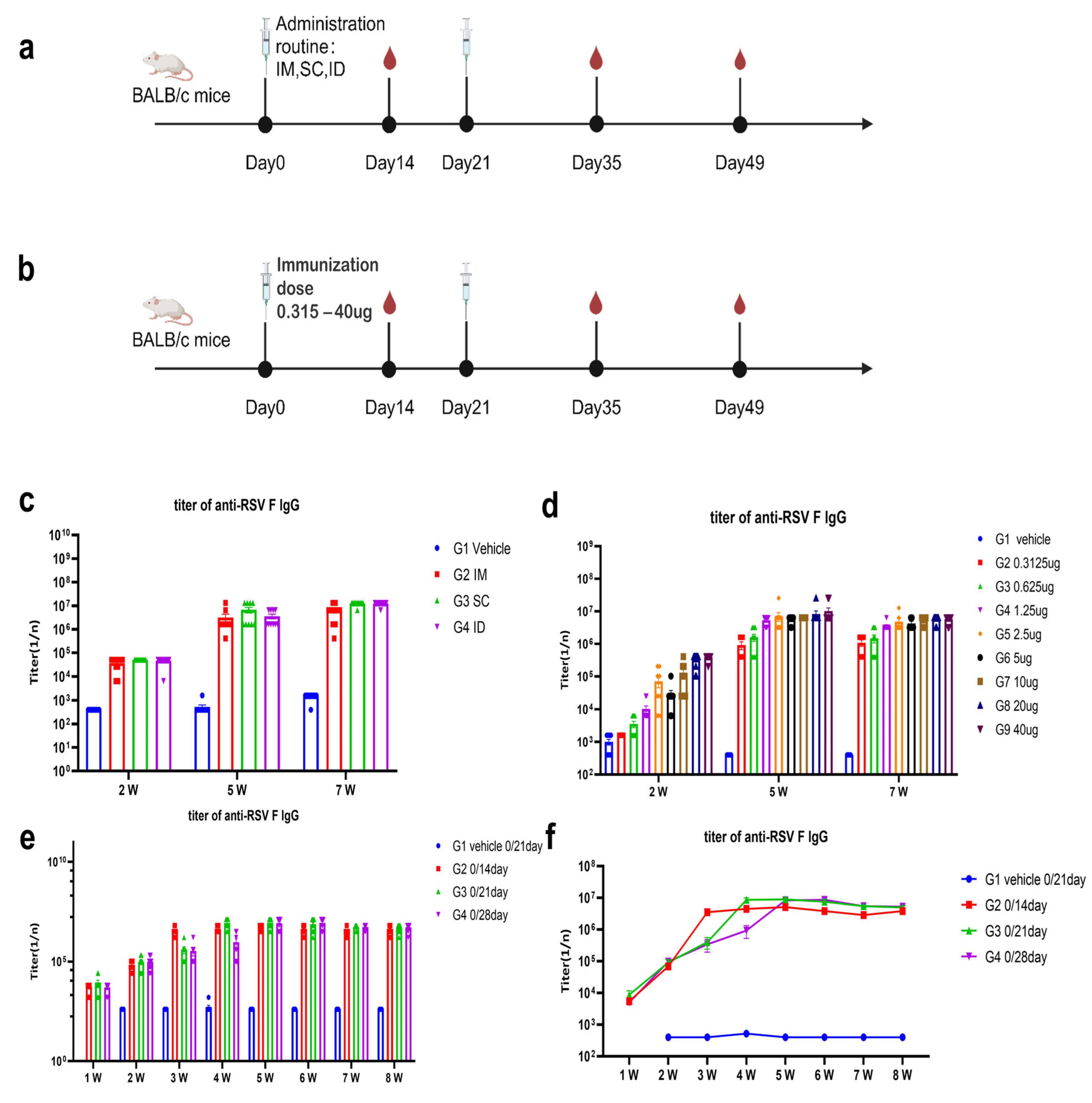 Vaccines 13 00625 g005