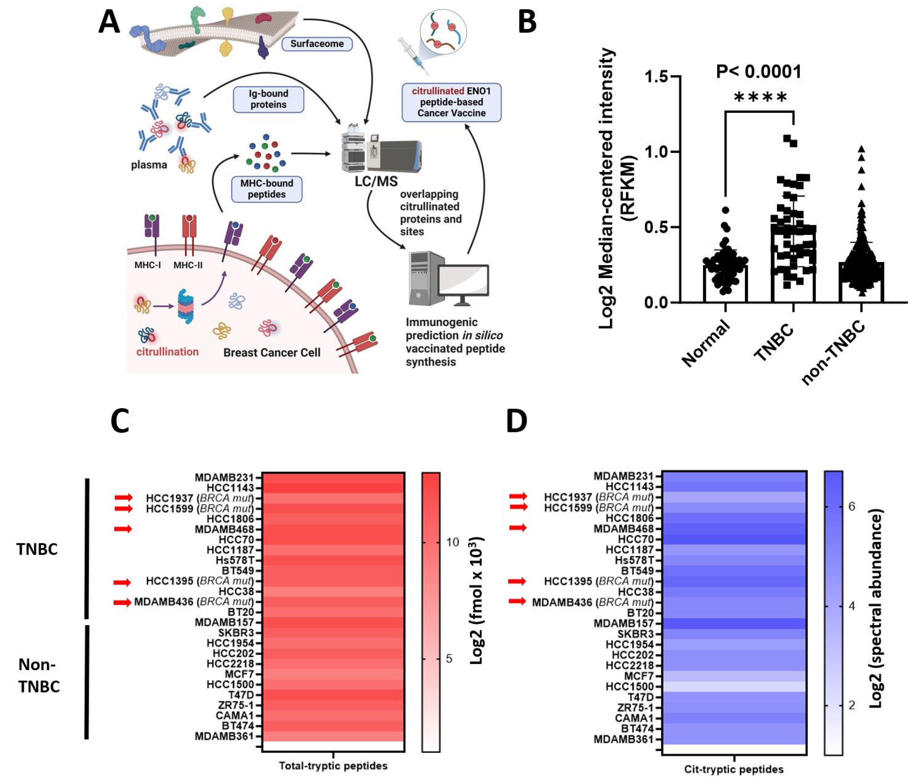 Vaccines 13 00629 g001