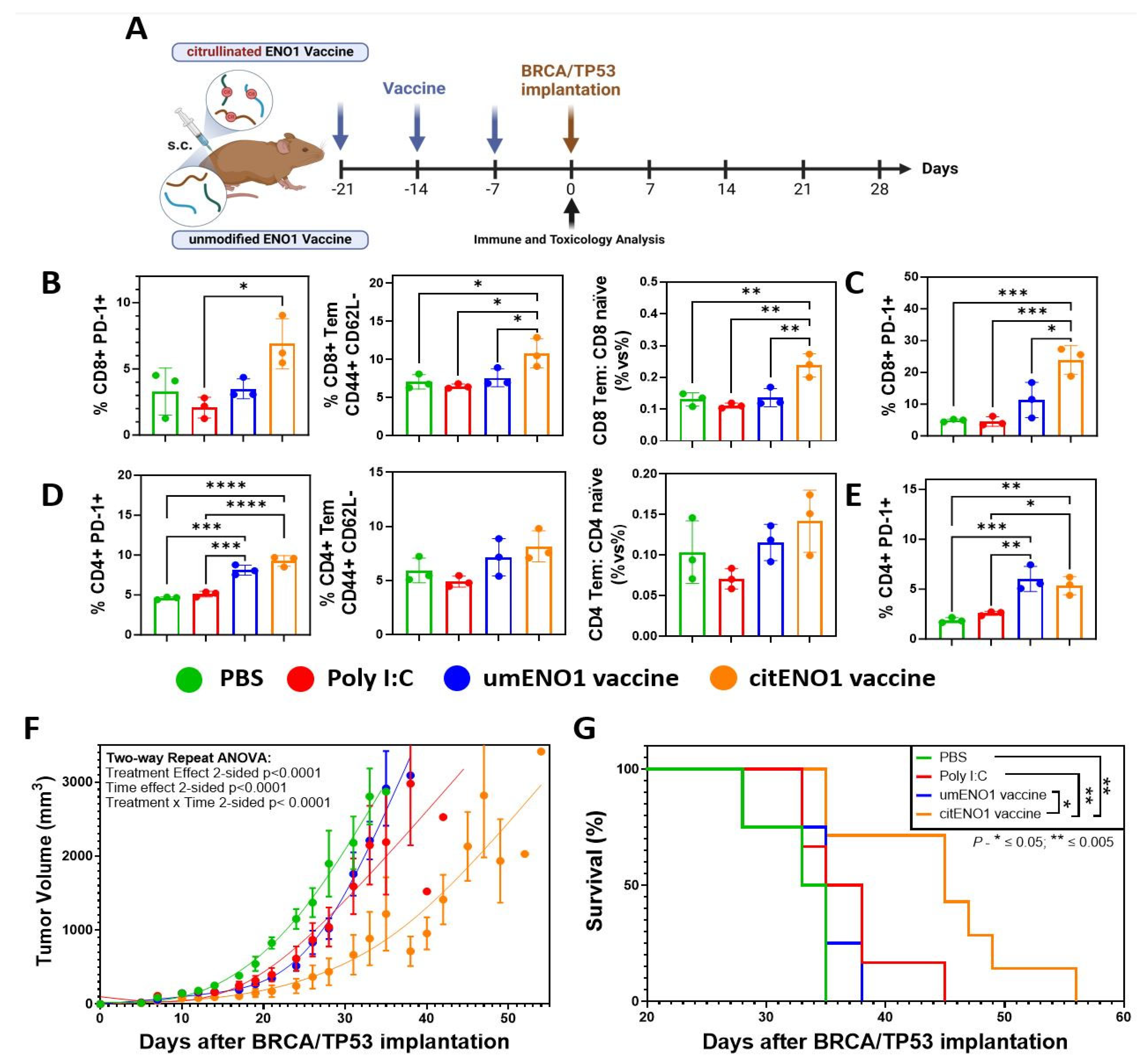 Vaccines 13 00629 g003