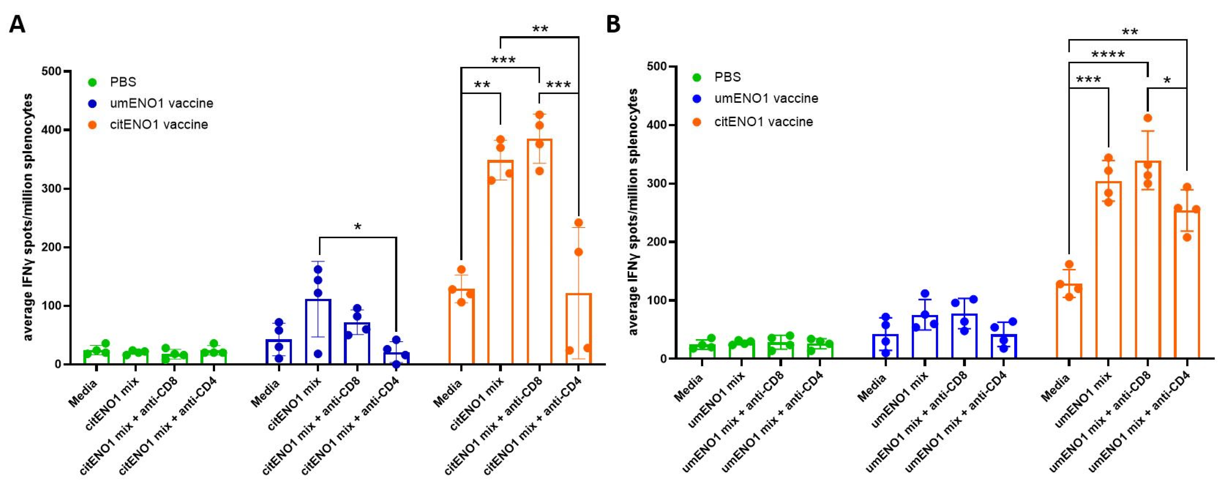 Vaccines 13 00629 g004