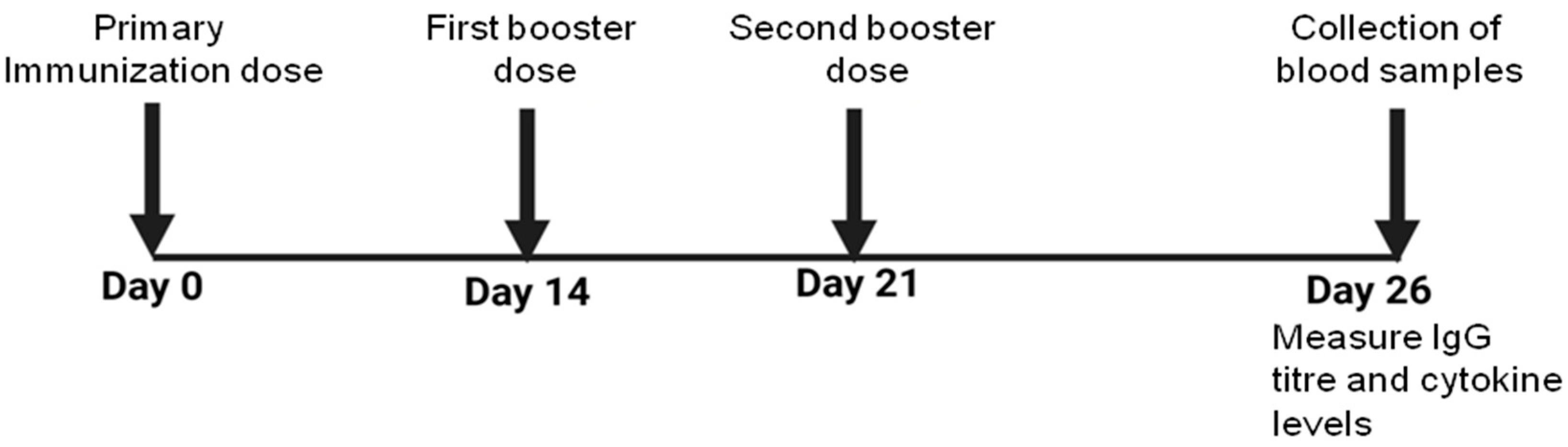 Vaccines 13 00630 g001