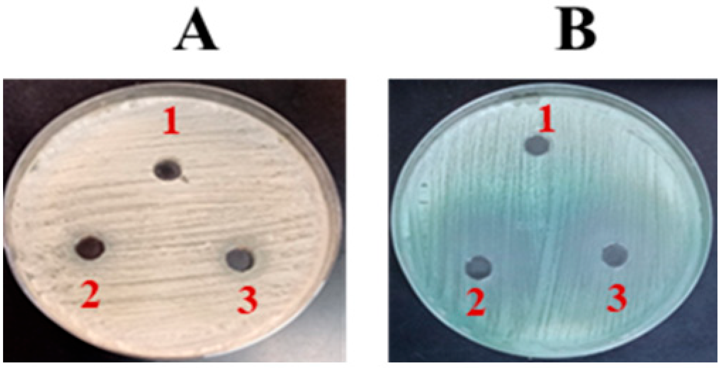 Vaccines 13 00630 g002