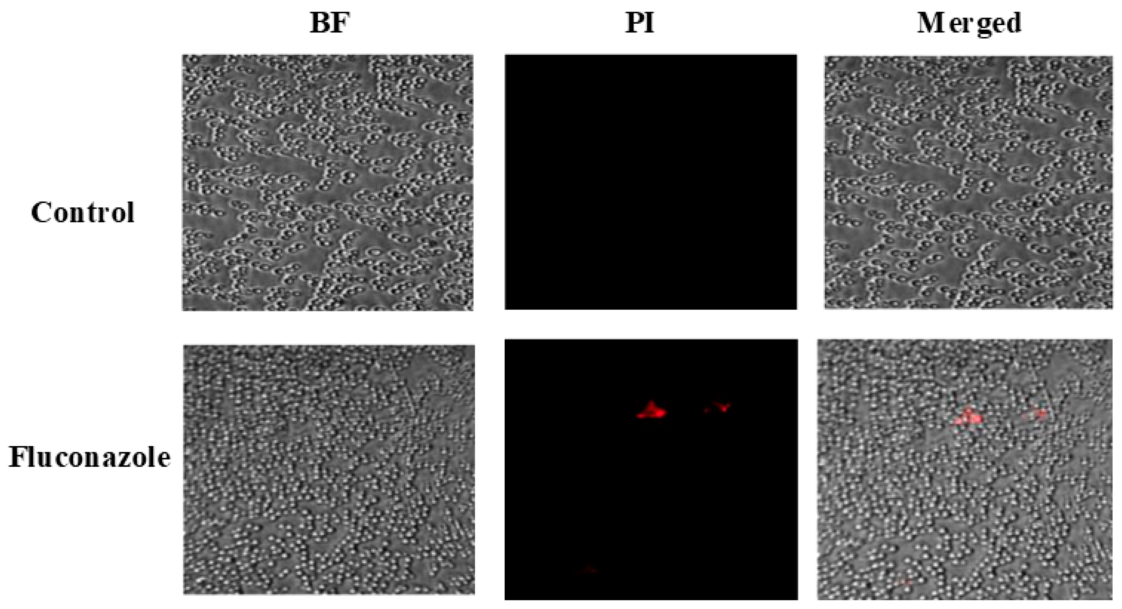 Vaccines 13 00630 g003