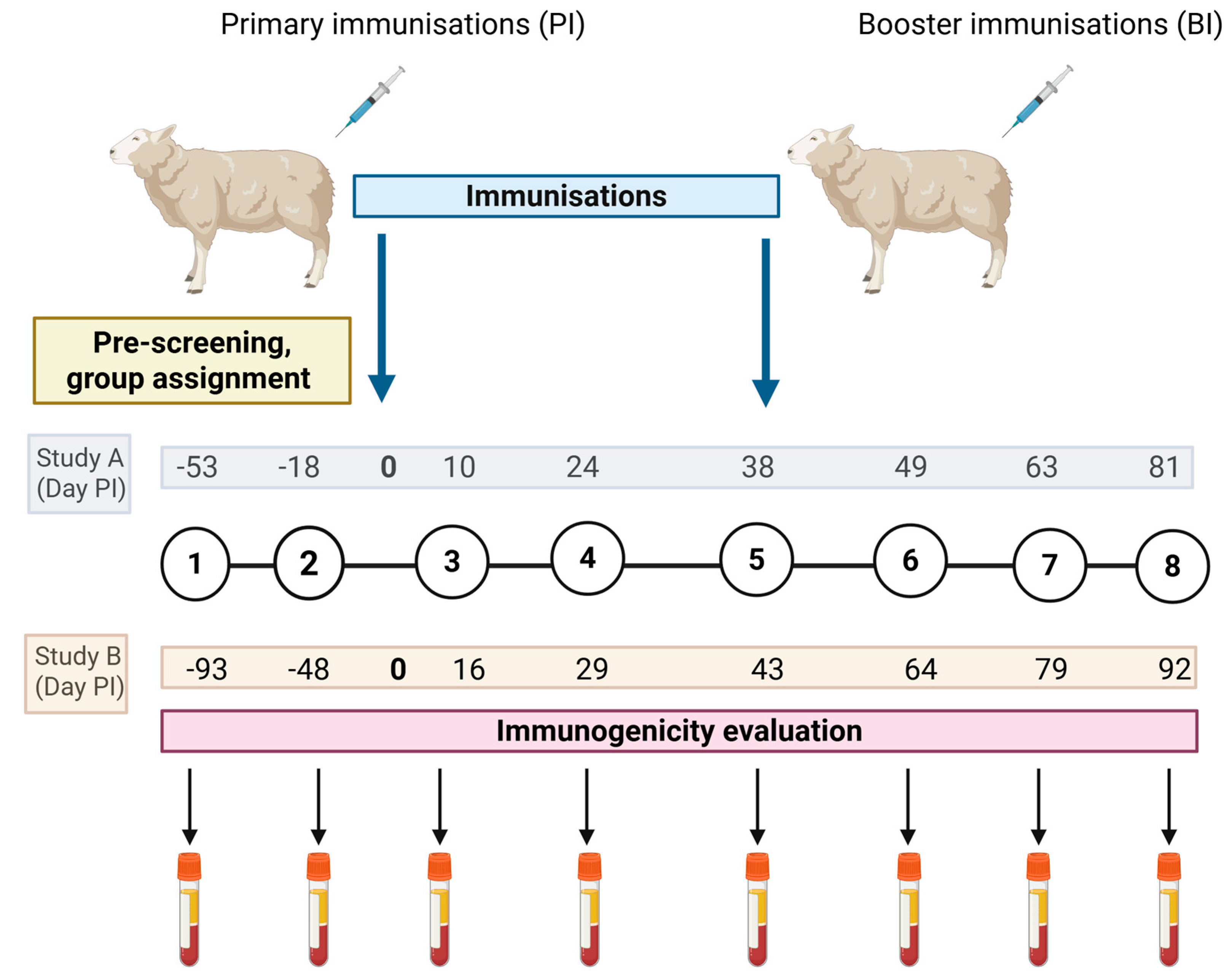Vaccines 13 00631 g004