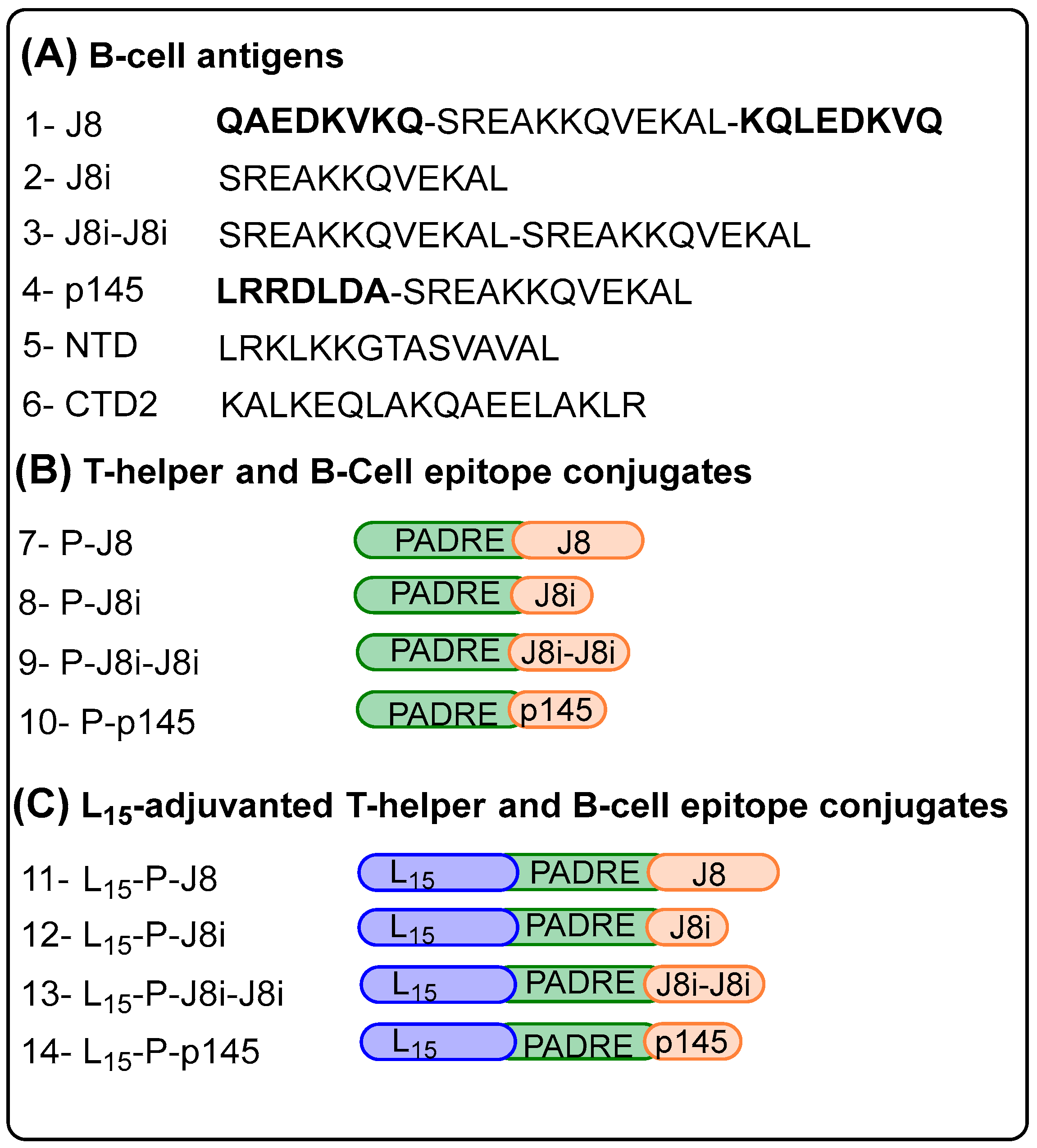 Vaccines 13 00632 g003