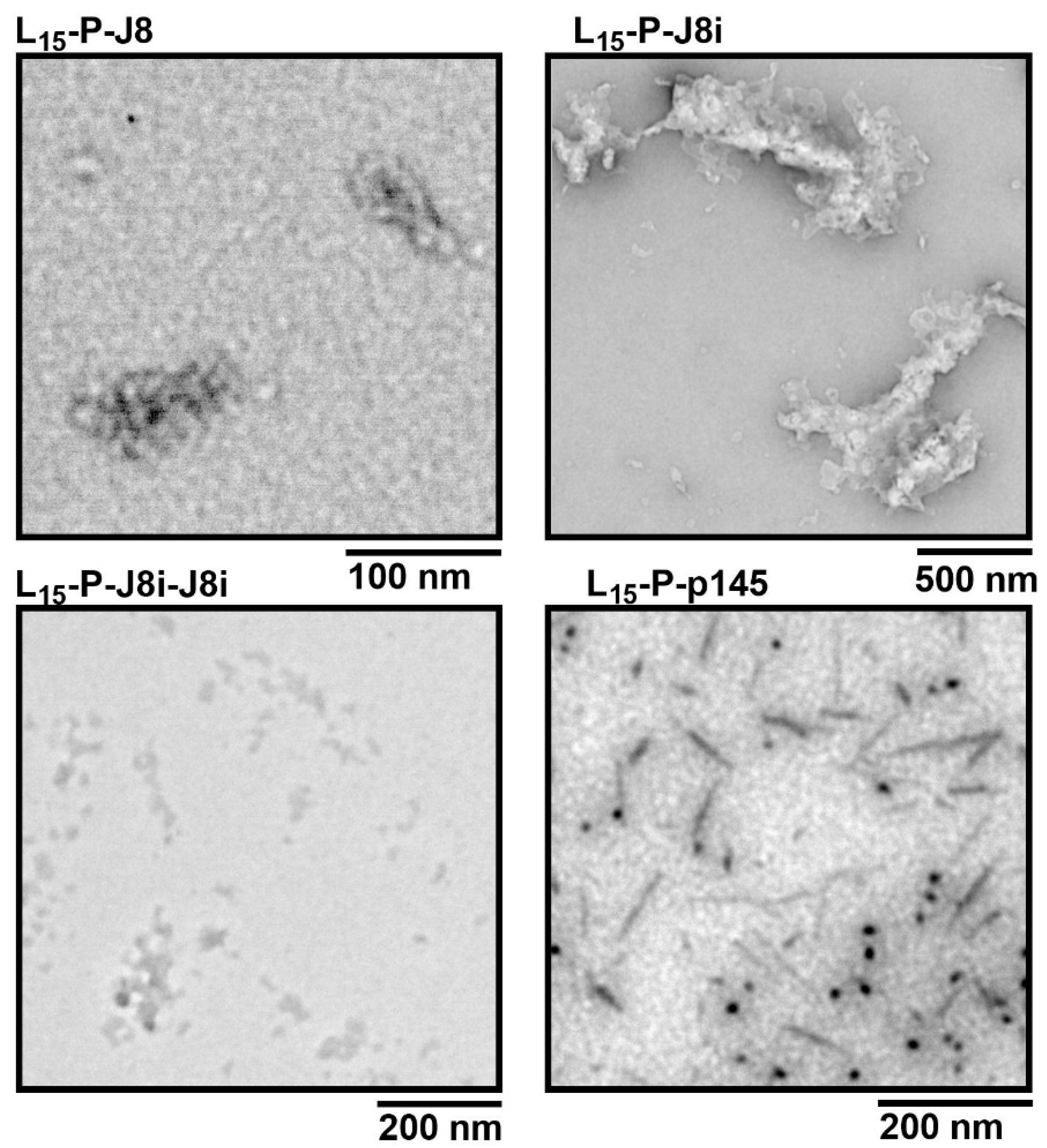 Vaccines 13 00632 g006