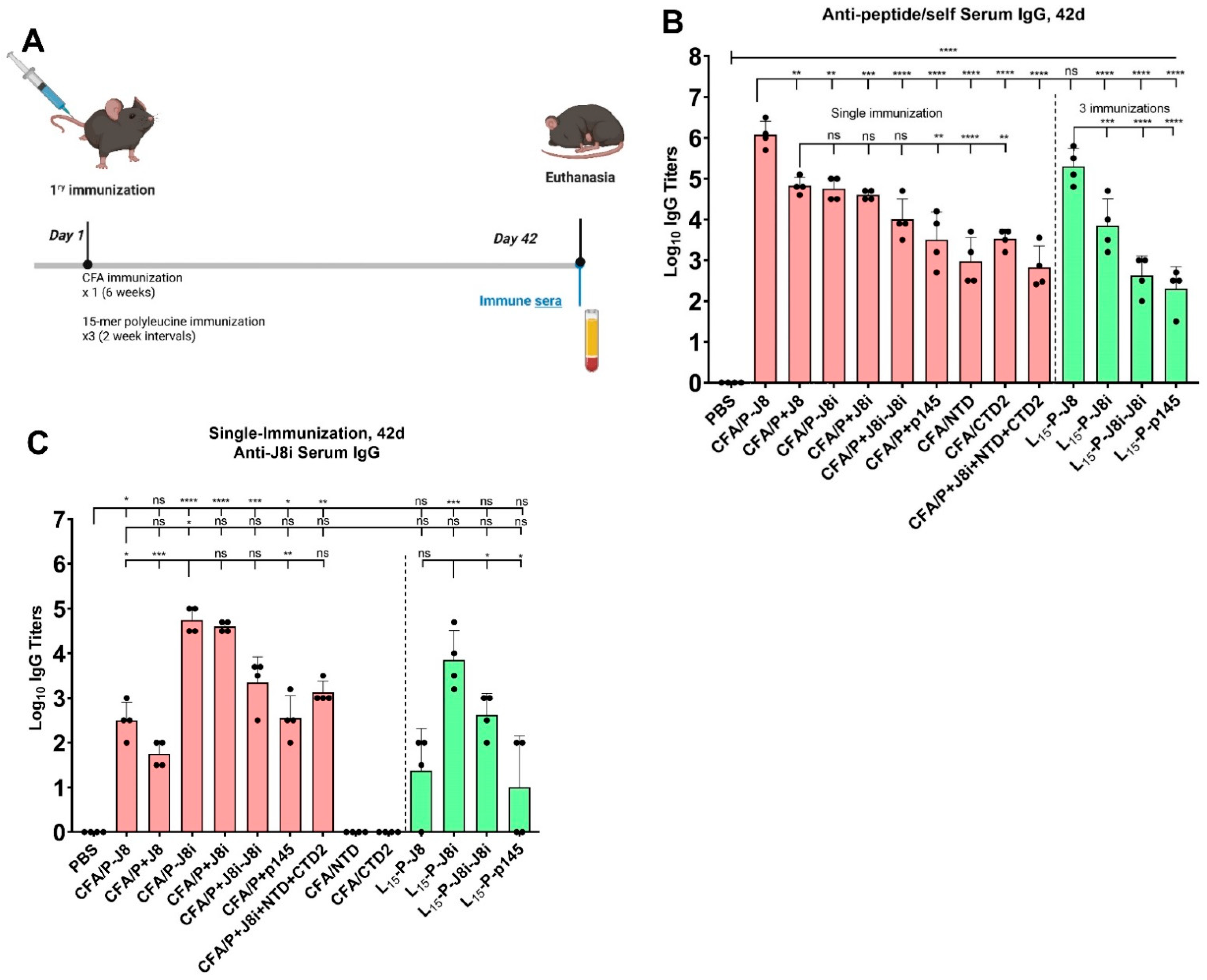 Vaccines 13 00632 g008
