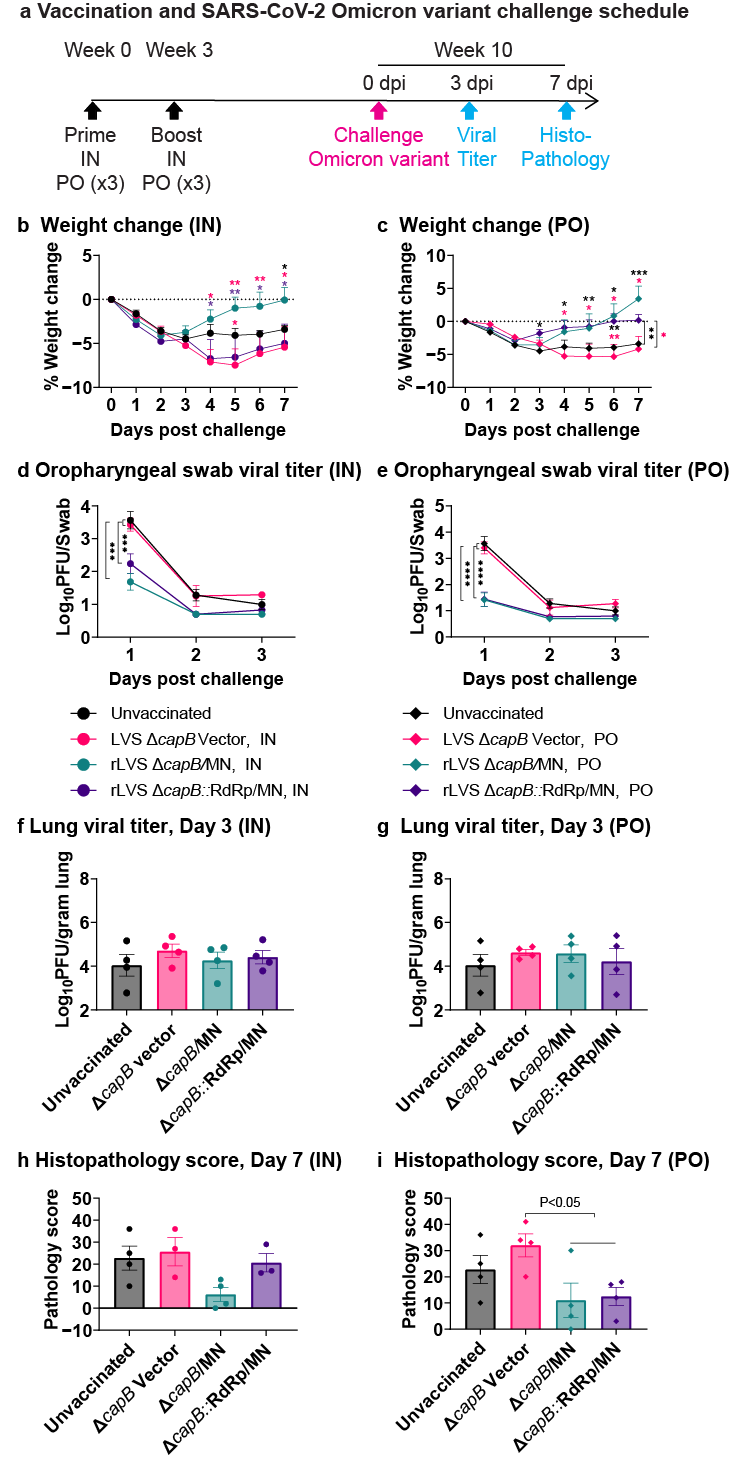Vaccines 13 00633 g004