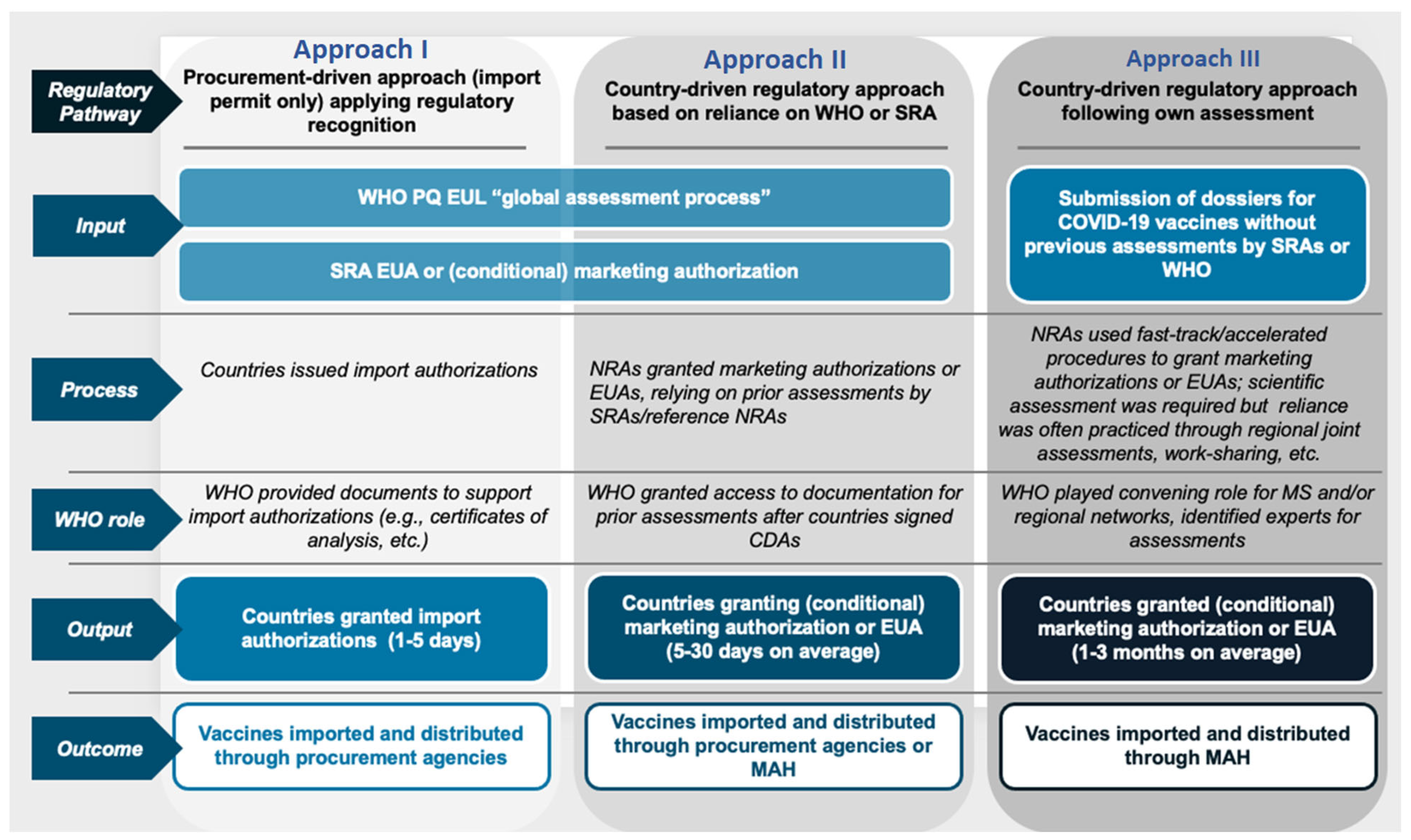 Vaccines 13 00638 g001