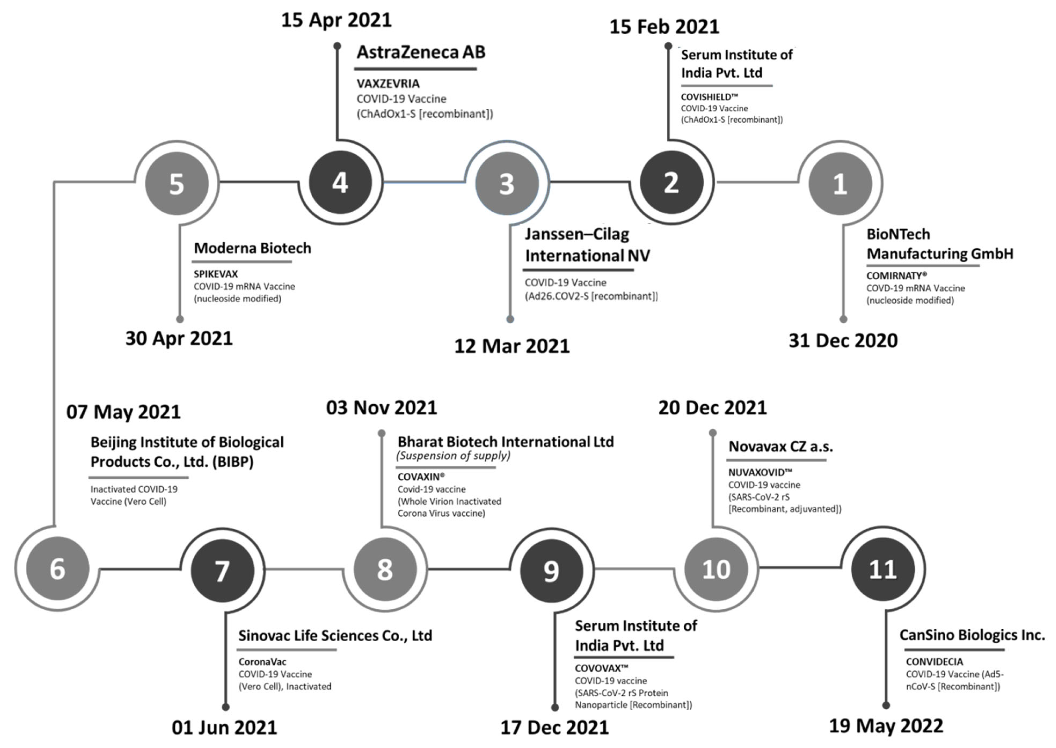 Vaccines 13 00638 g002