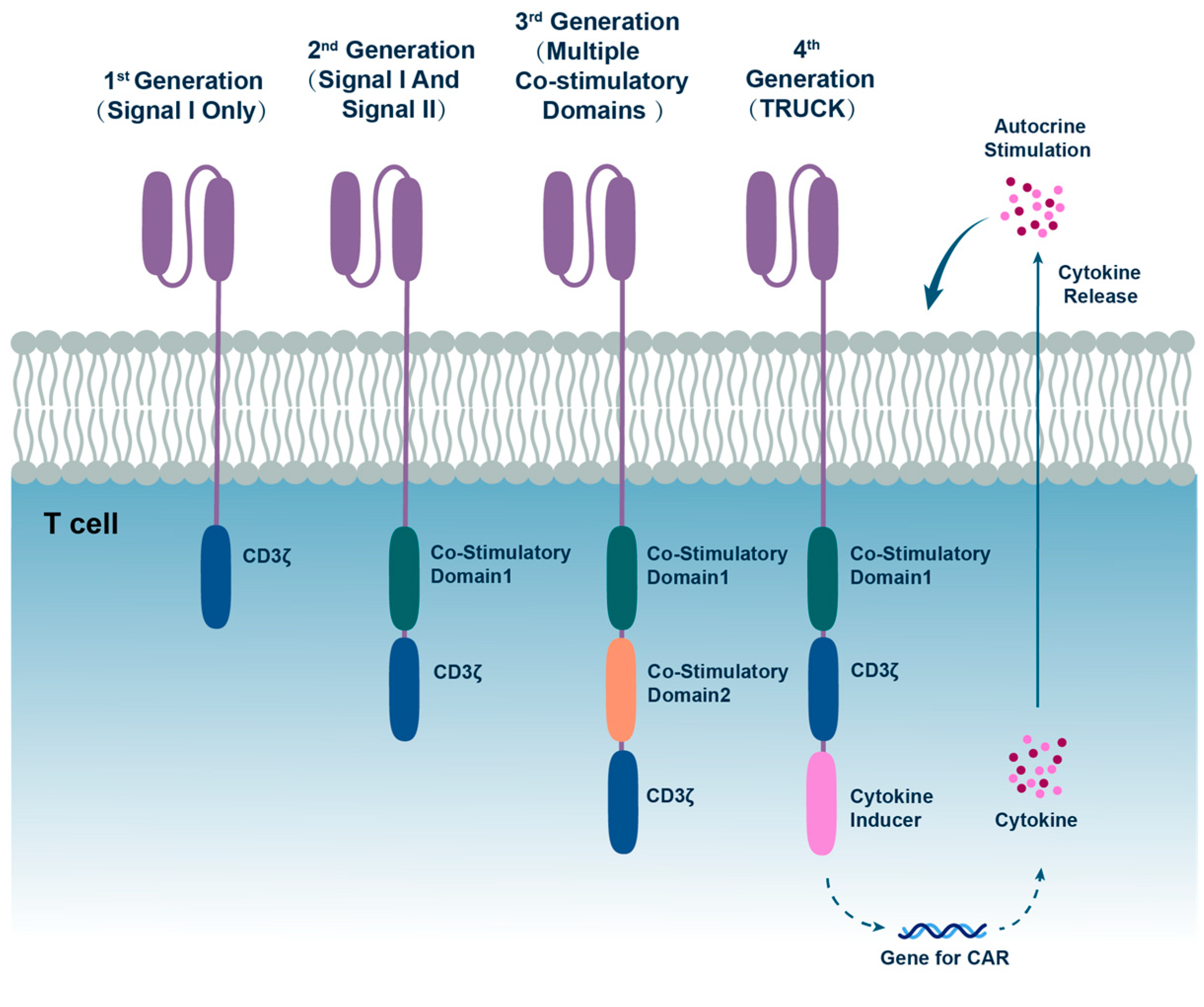 Vaccines 13 00654 g001