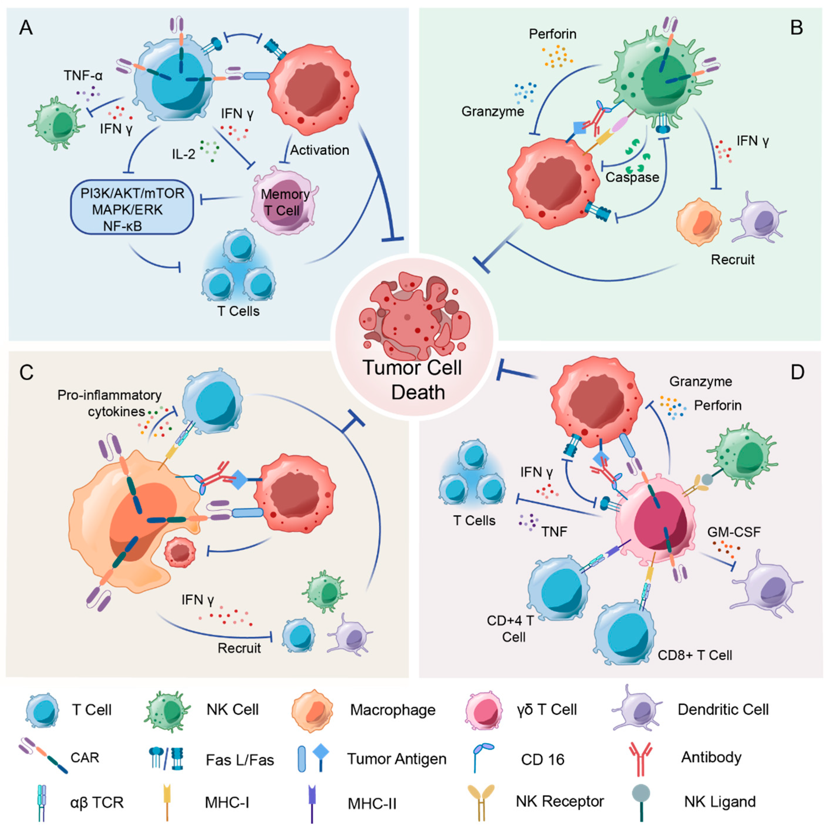 Vaccines 13 00654 g002