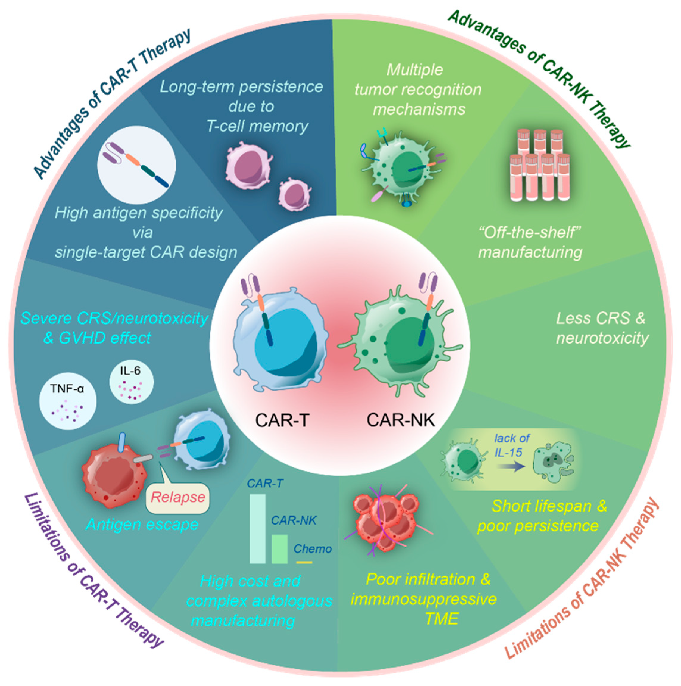 Vaccines 13 00654 g003