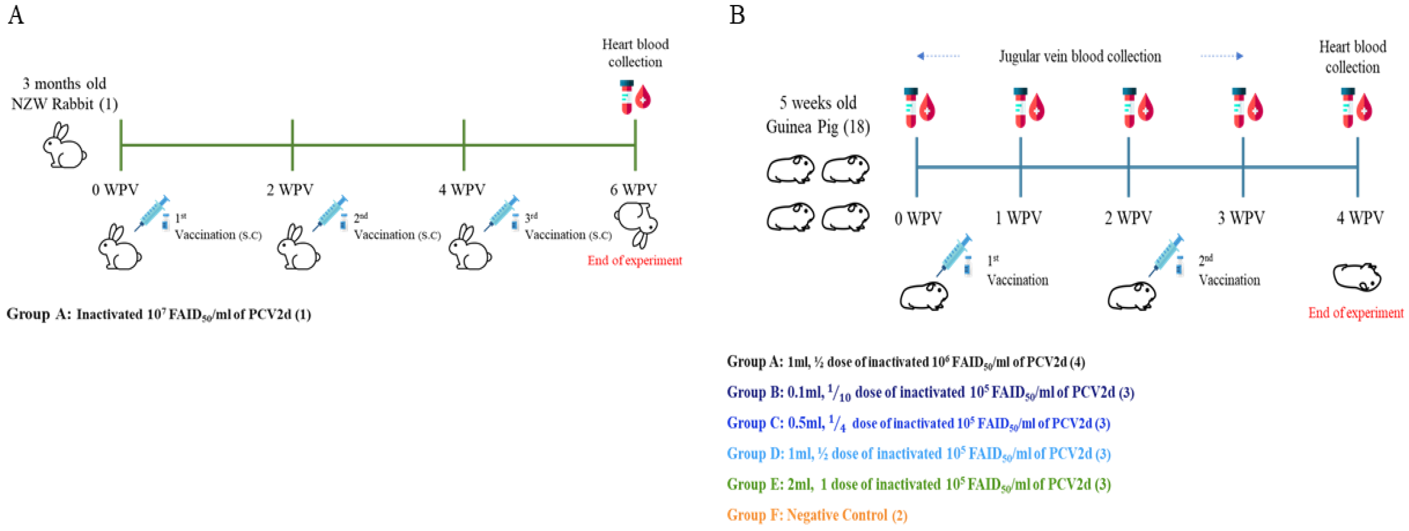 Vaccines 13 00657 g001