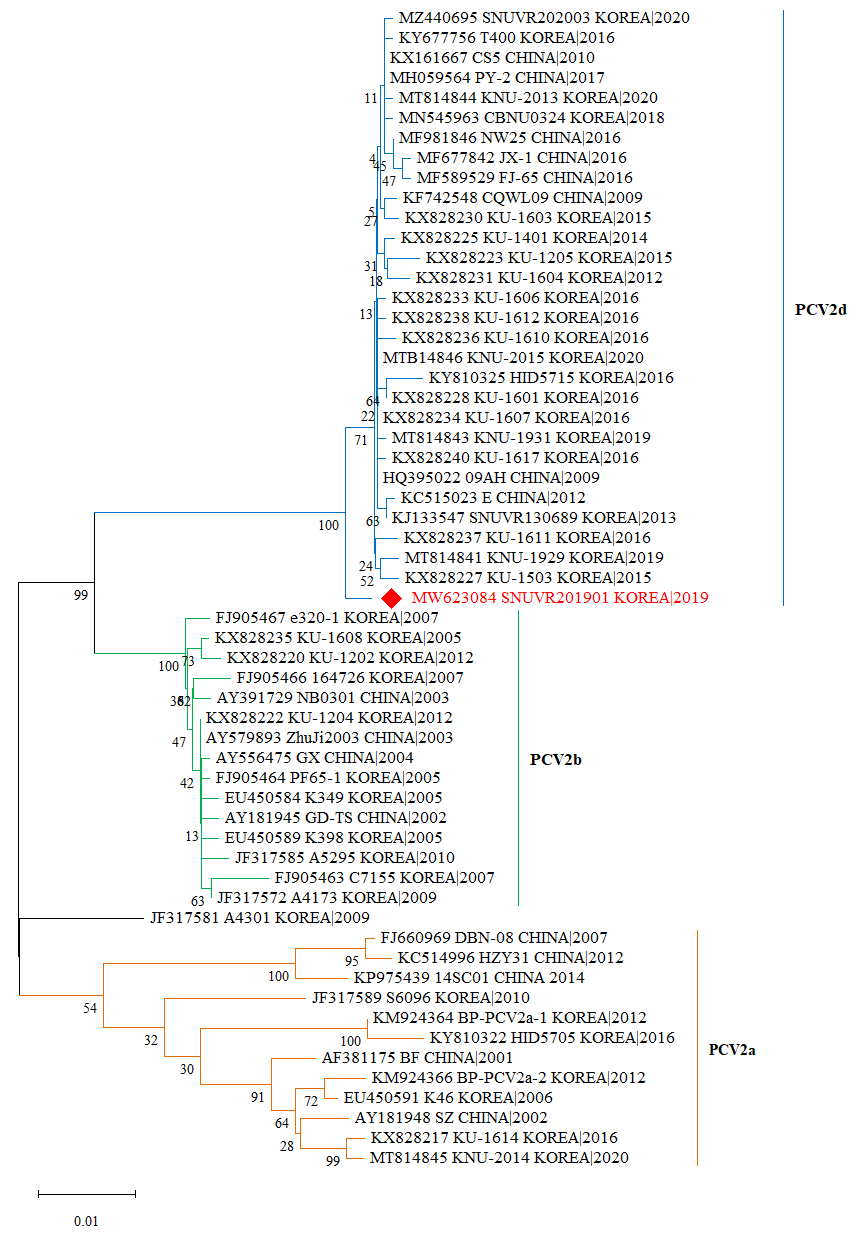 Vaccines 13 00657 g002
