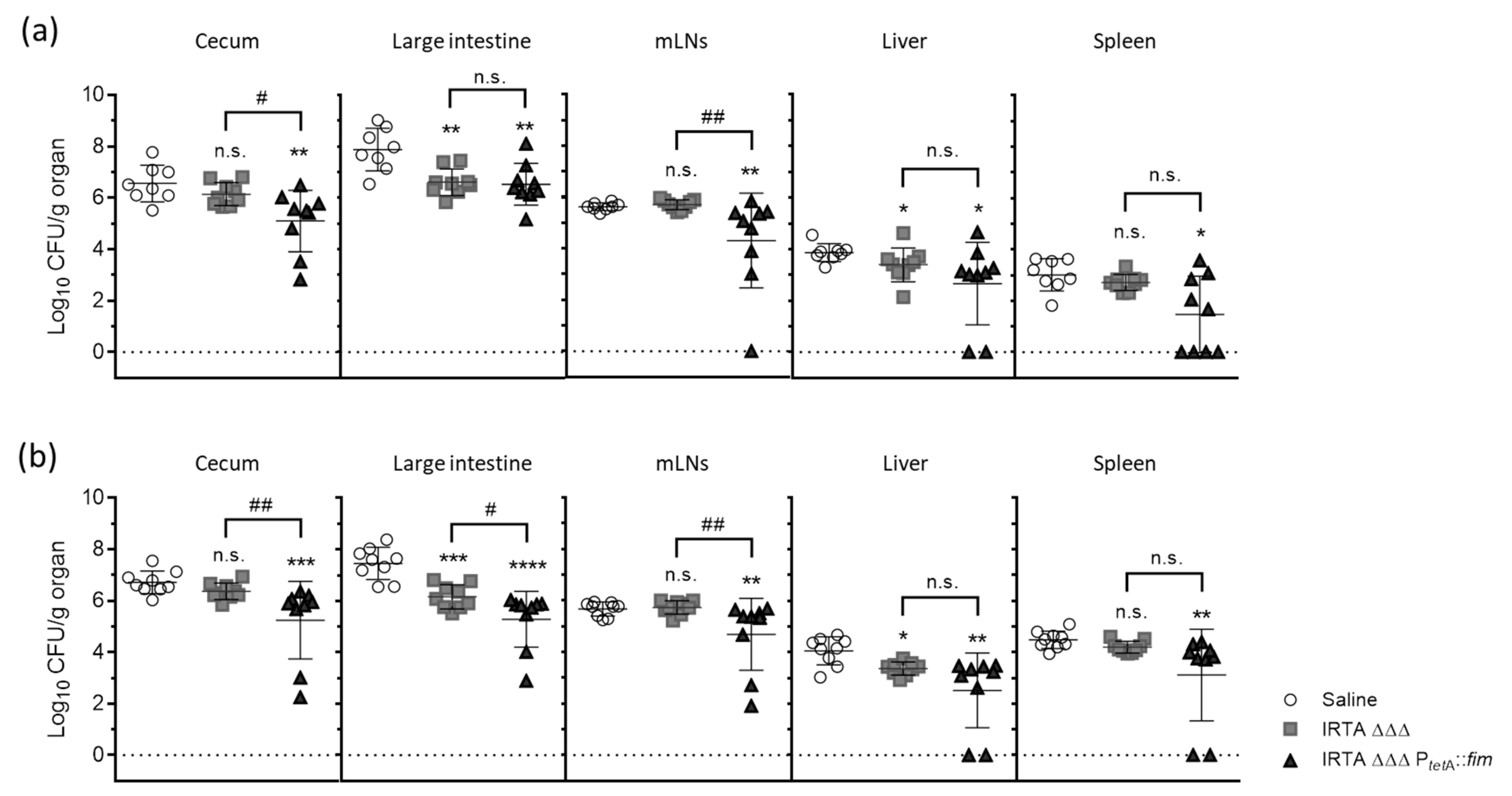 Vaccines 13 00659 g004