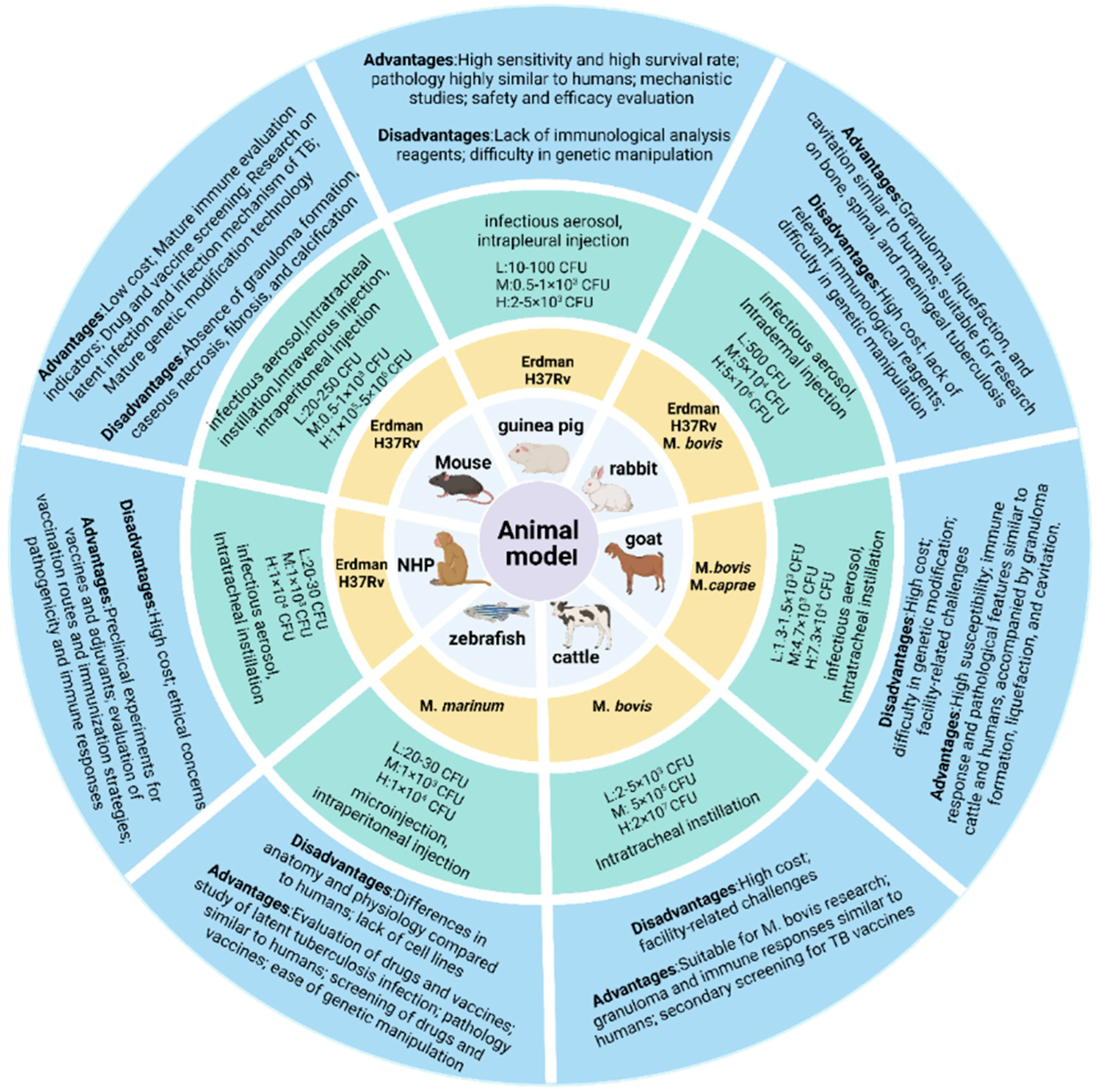 Vaccines 13 00669 g002 Vaccines 13 00669 g002