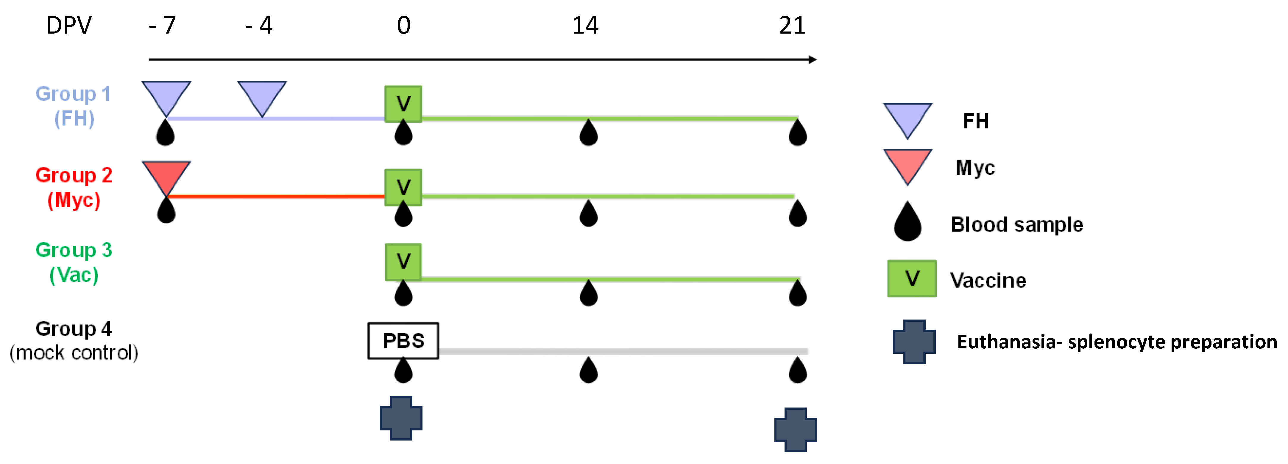 Vaccines 13 00677 g001