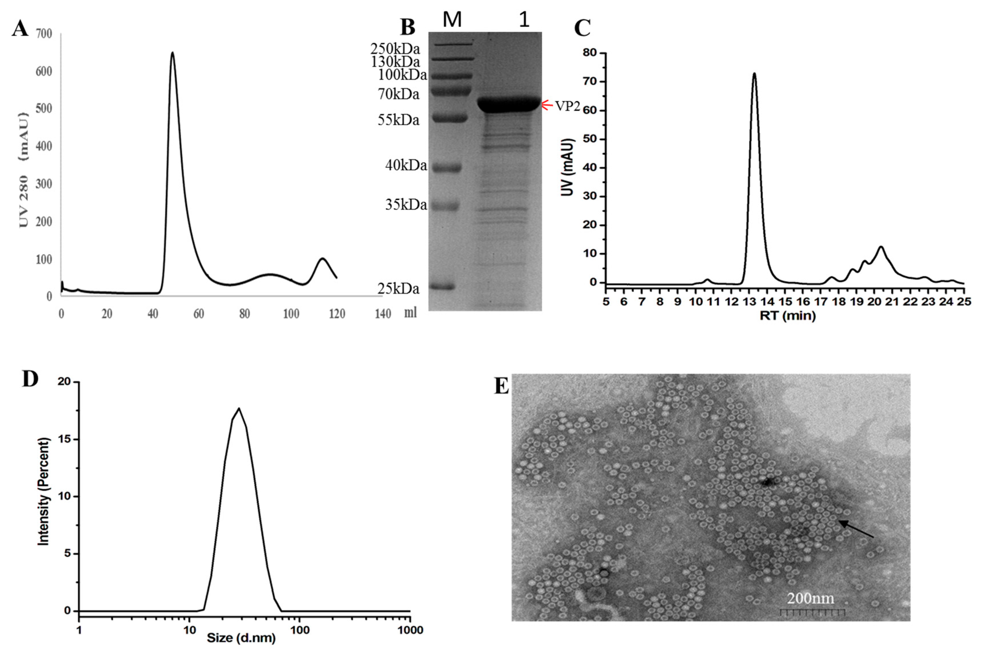 Vaccines 13 00684 g002