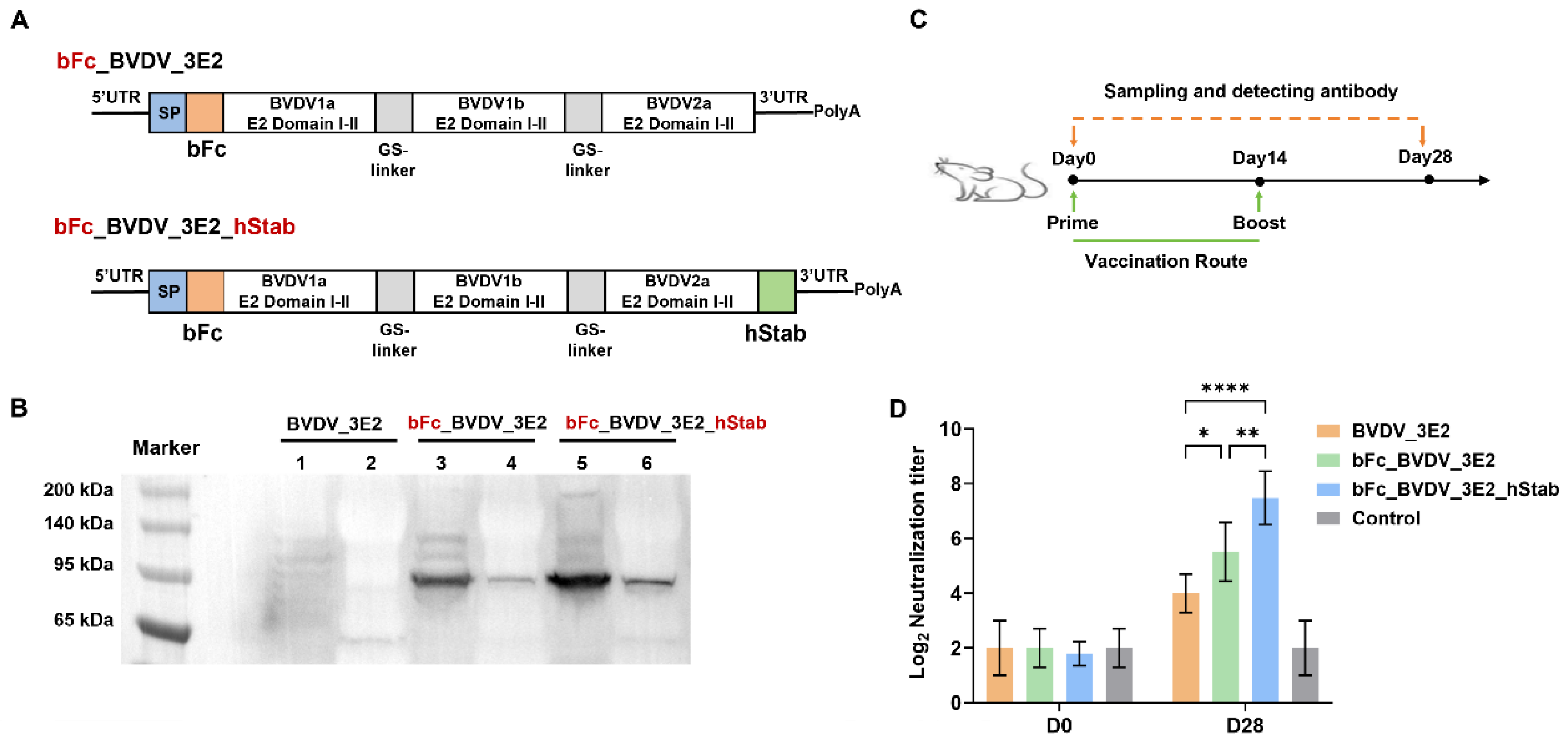 Vaccines 13 00691 g002