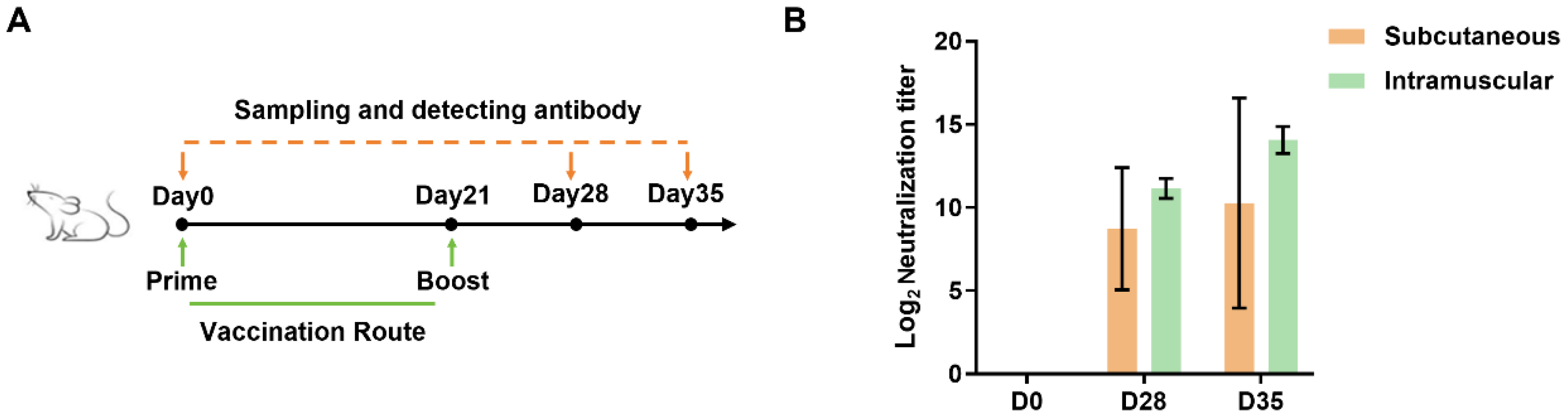 Vaccines 13 00691 g004
