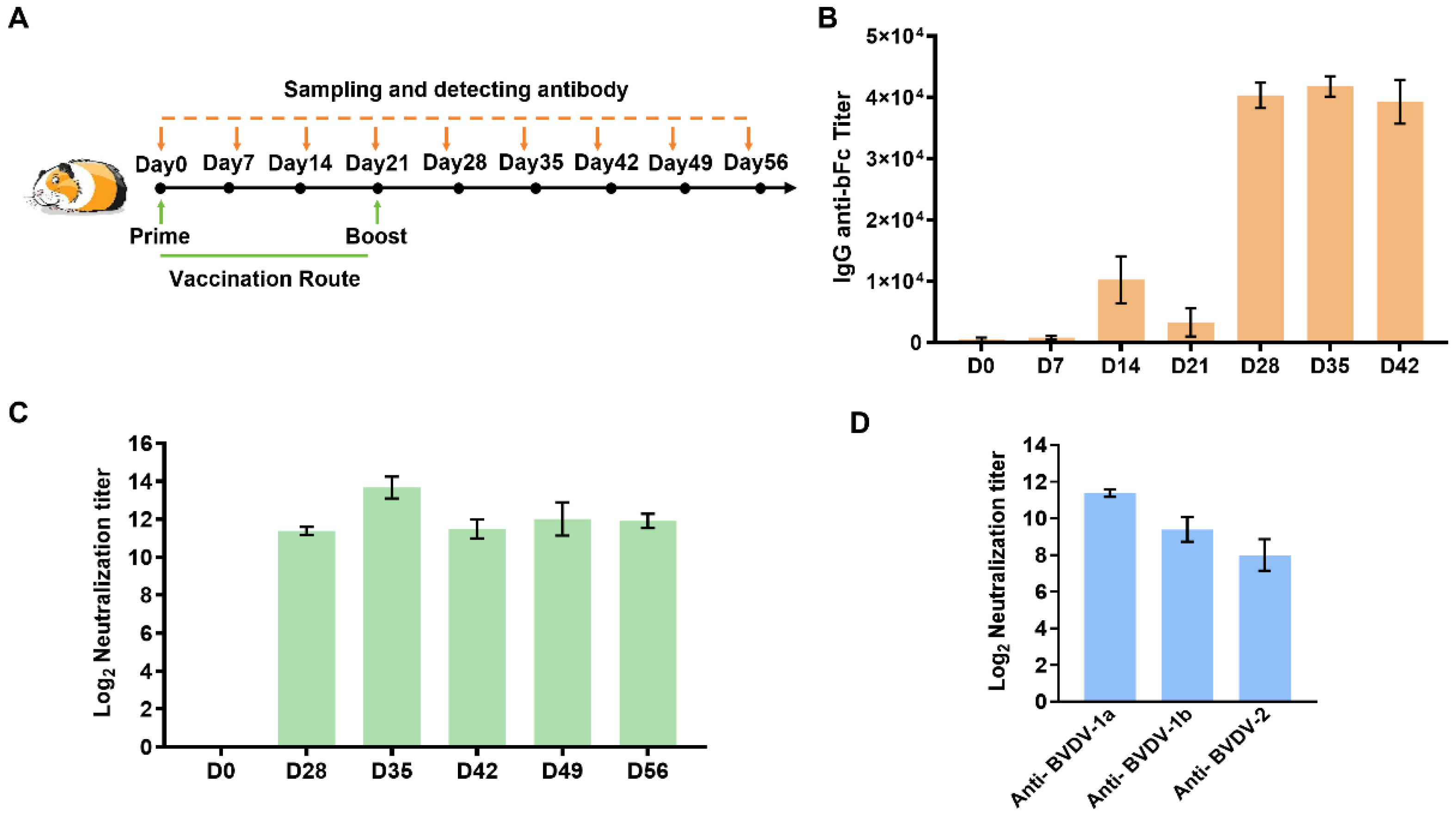 Vaccines 13 00691 g005
