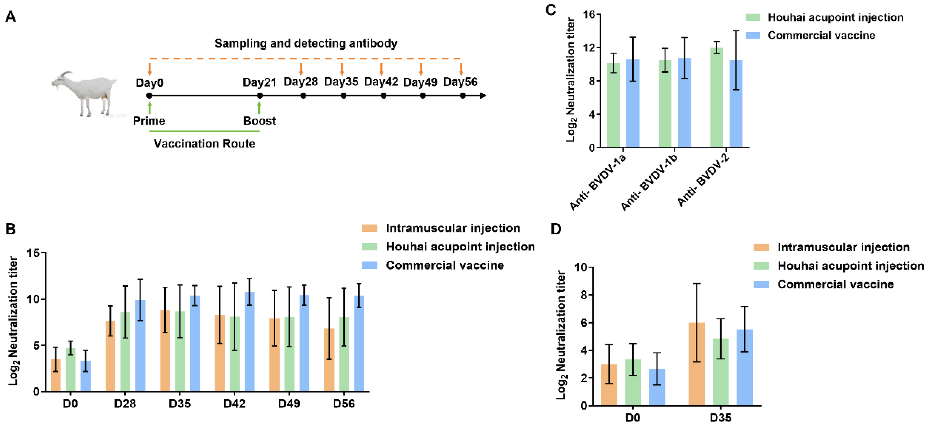 Vaccines 13 00691 g006