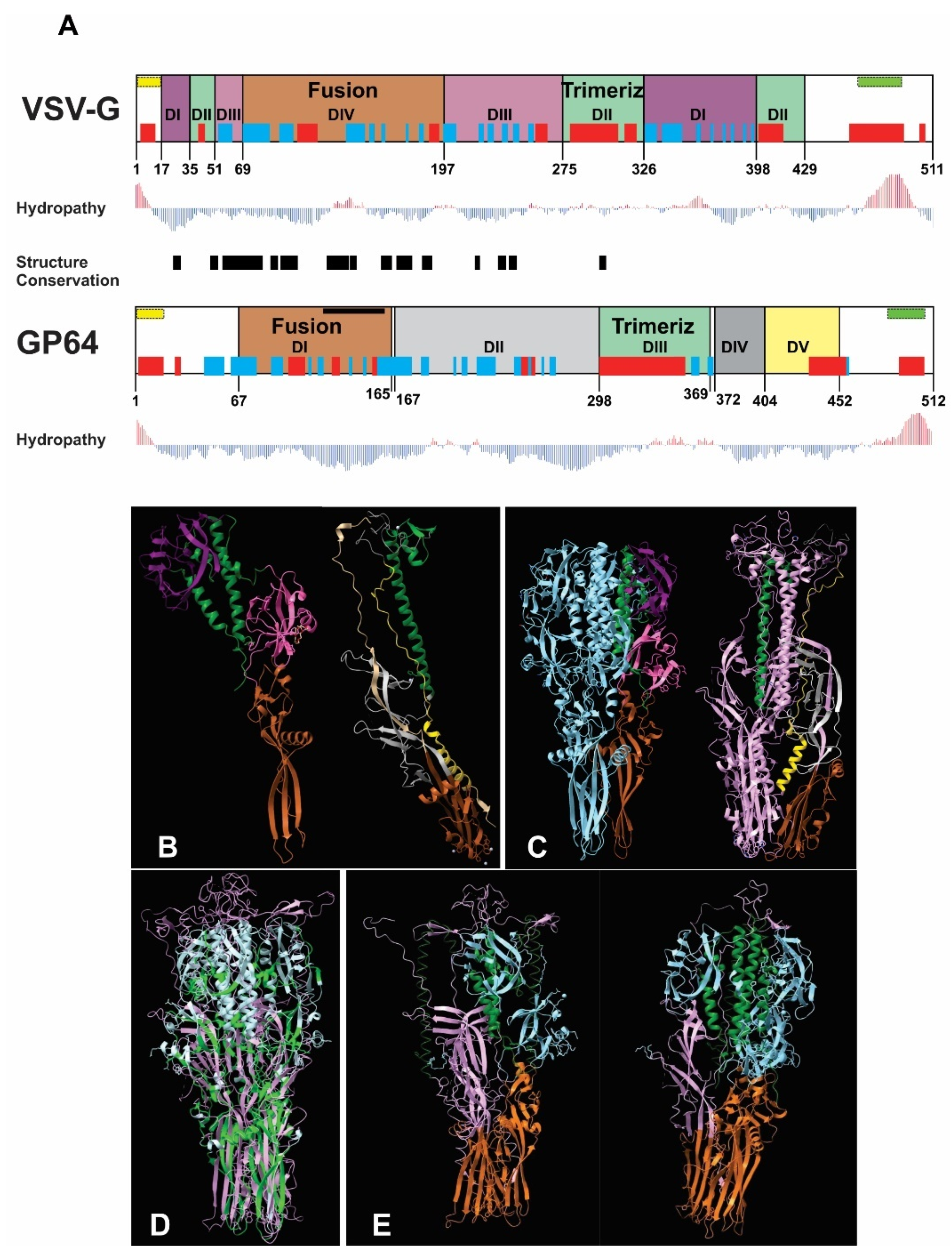 Vaccines 13 00693 g001