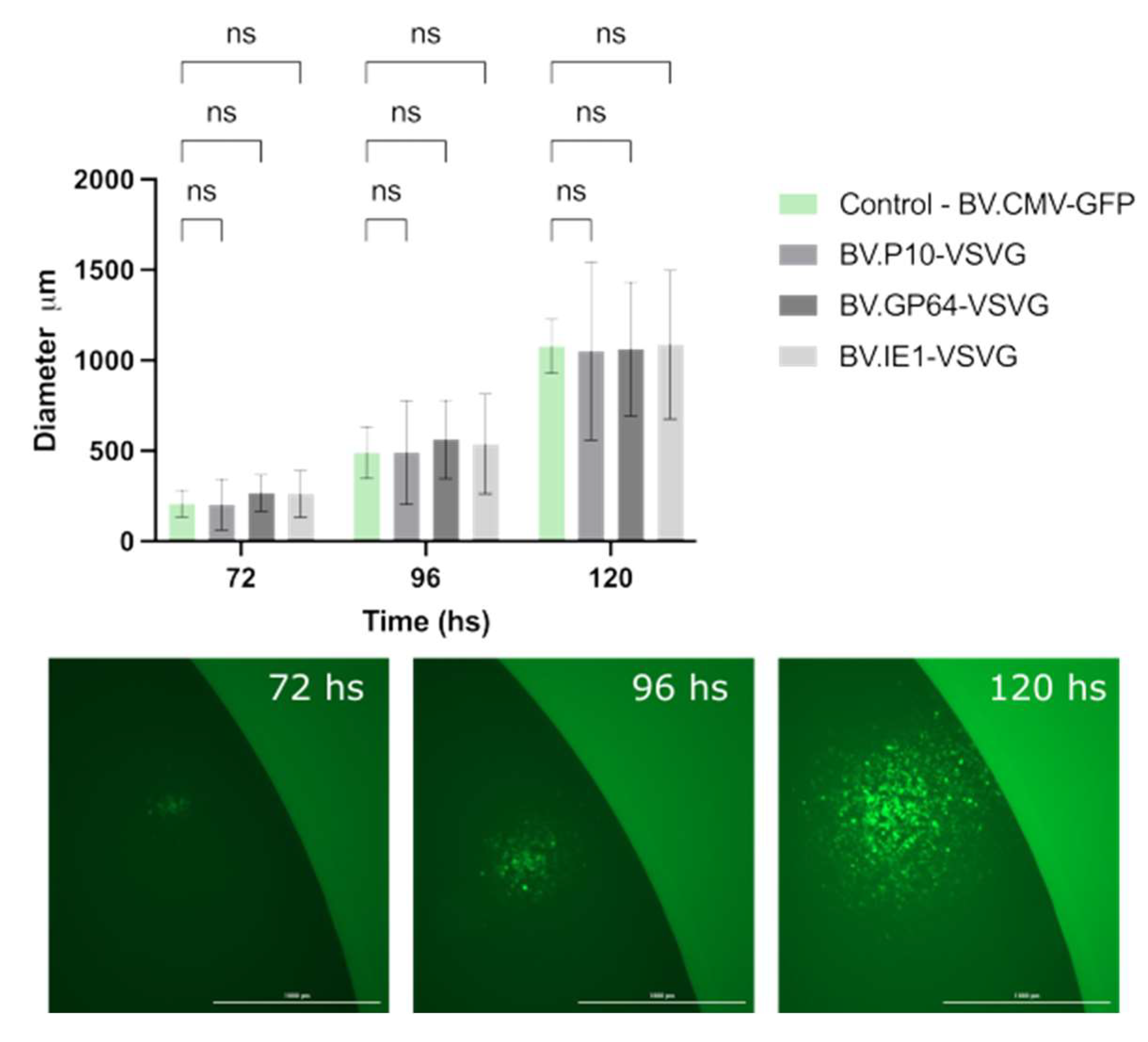Vaccines 13 00693 g006