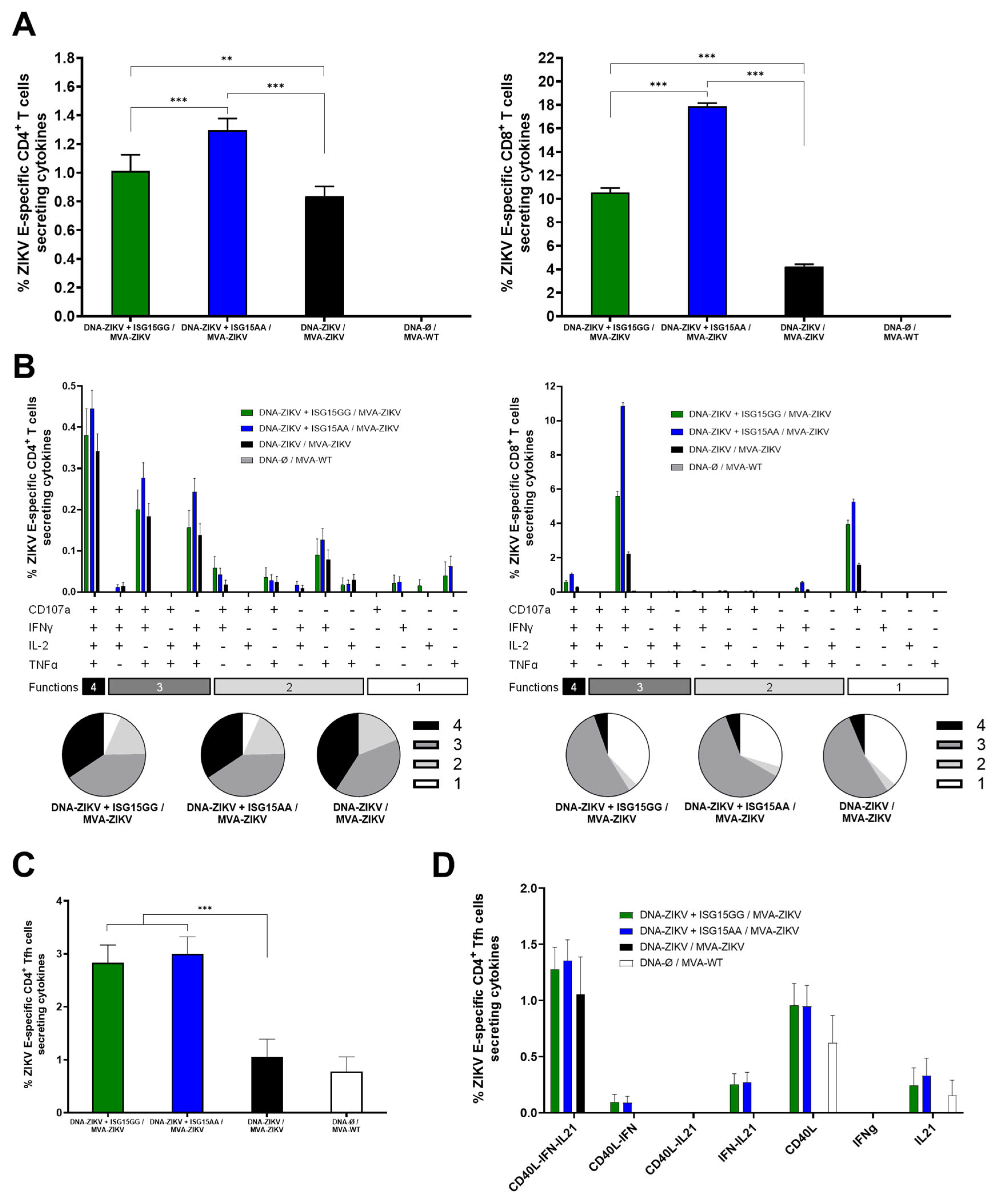 Vaccines 13 00696 g004