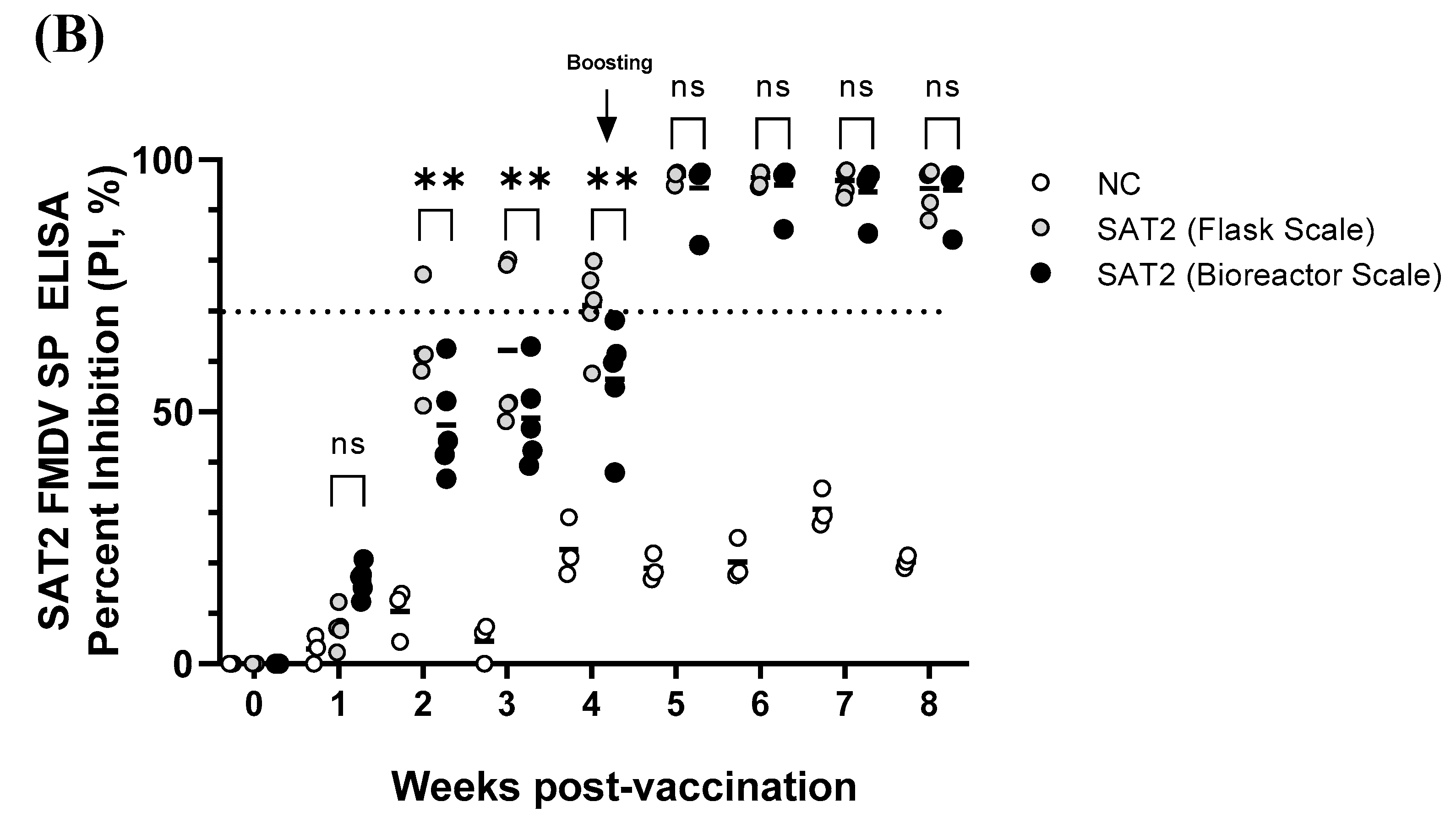 Vaccines 13 00704 g005b Vaccines 13 00704 g005b