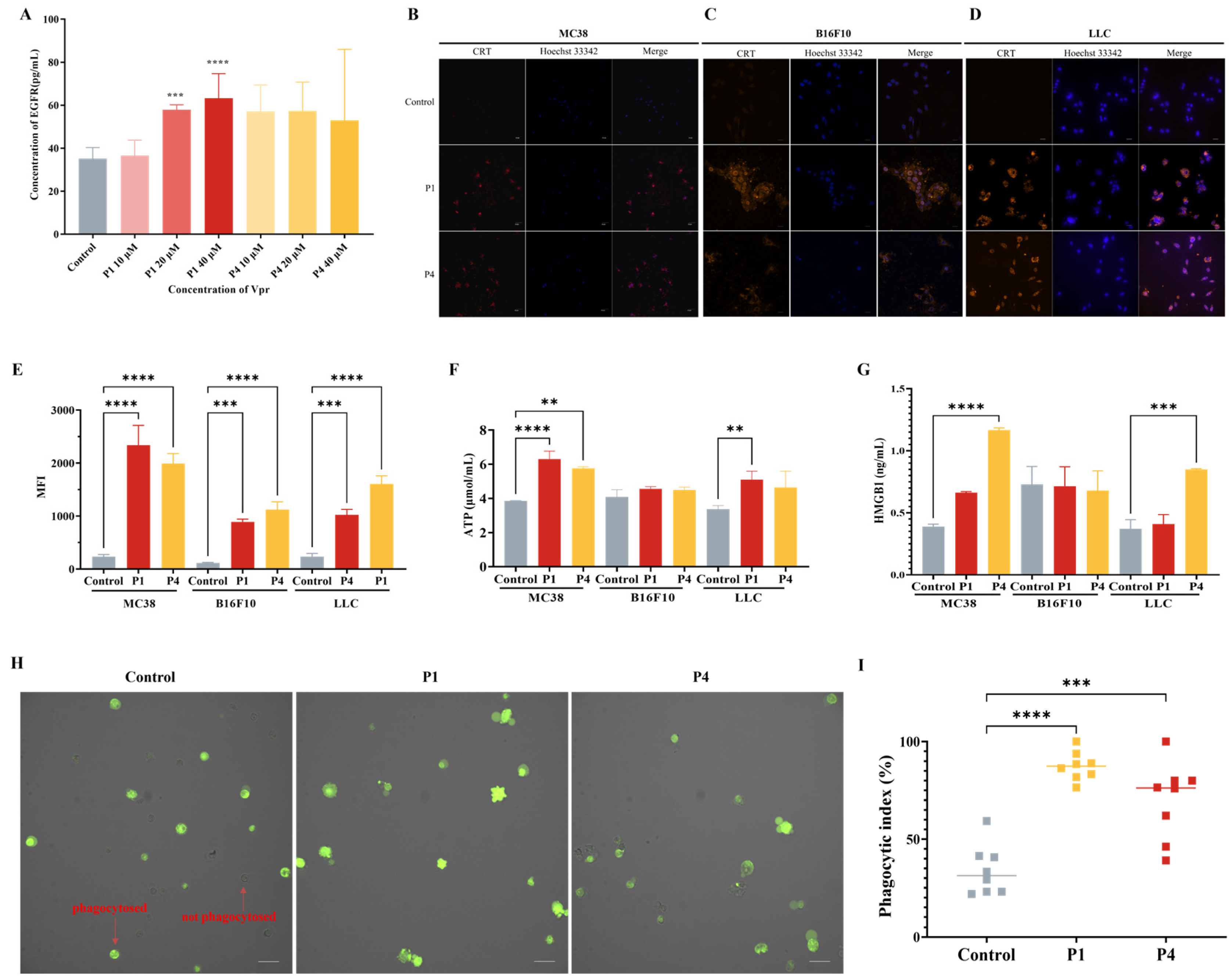 Vaccines 13 00710 g003