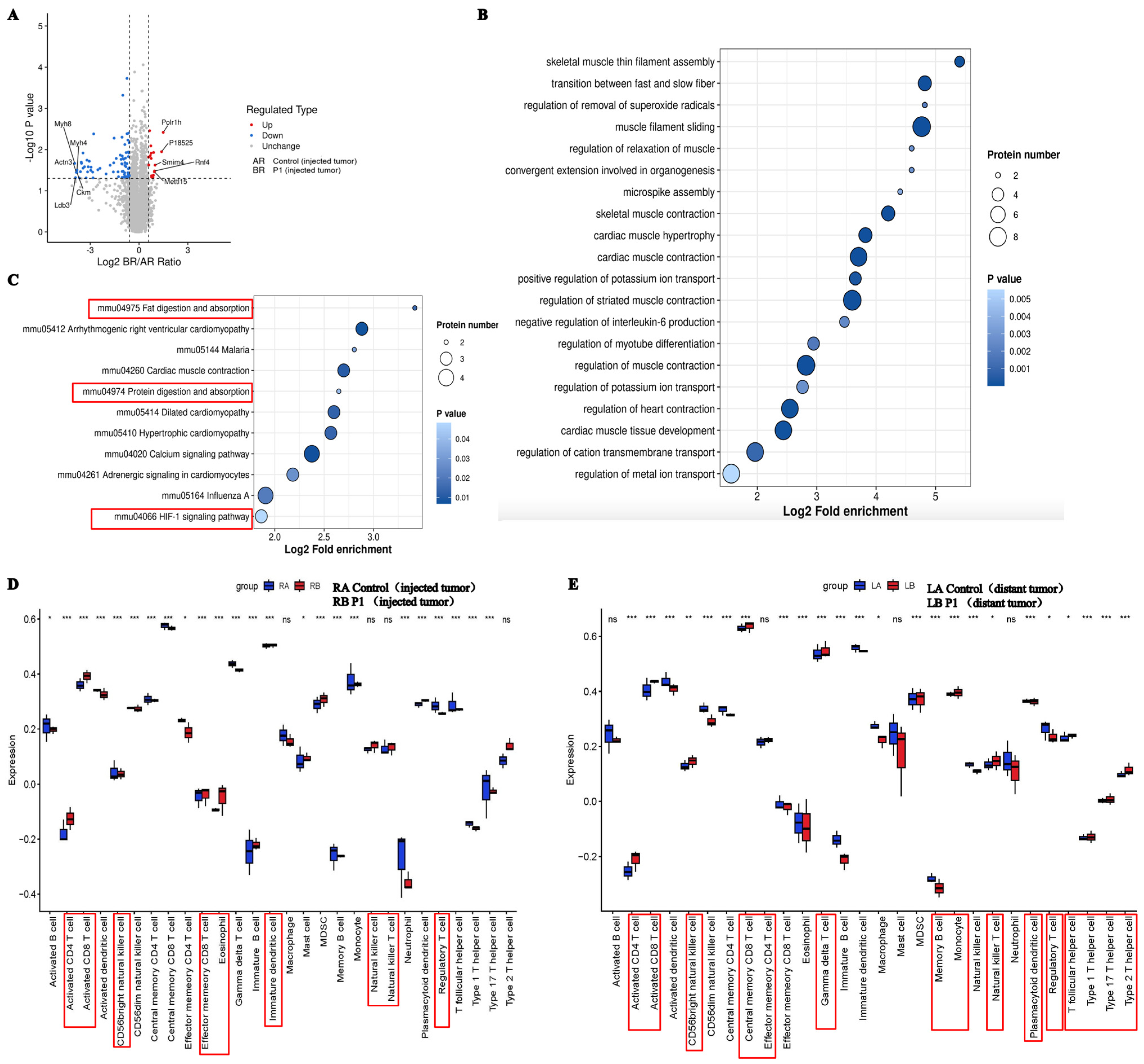 Vaccines 13 00710 g009