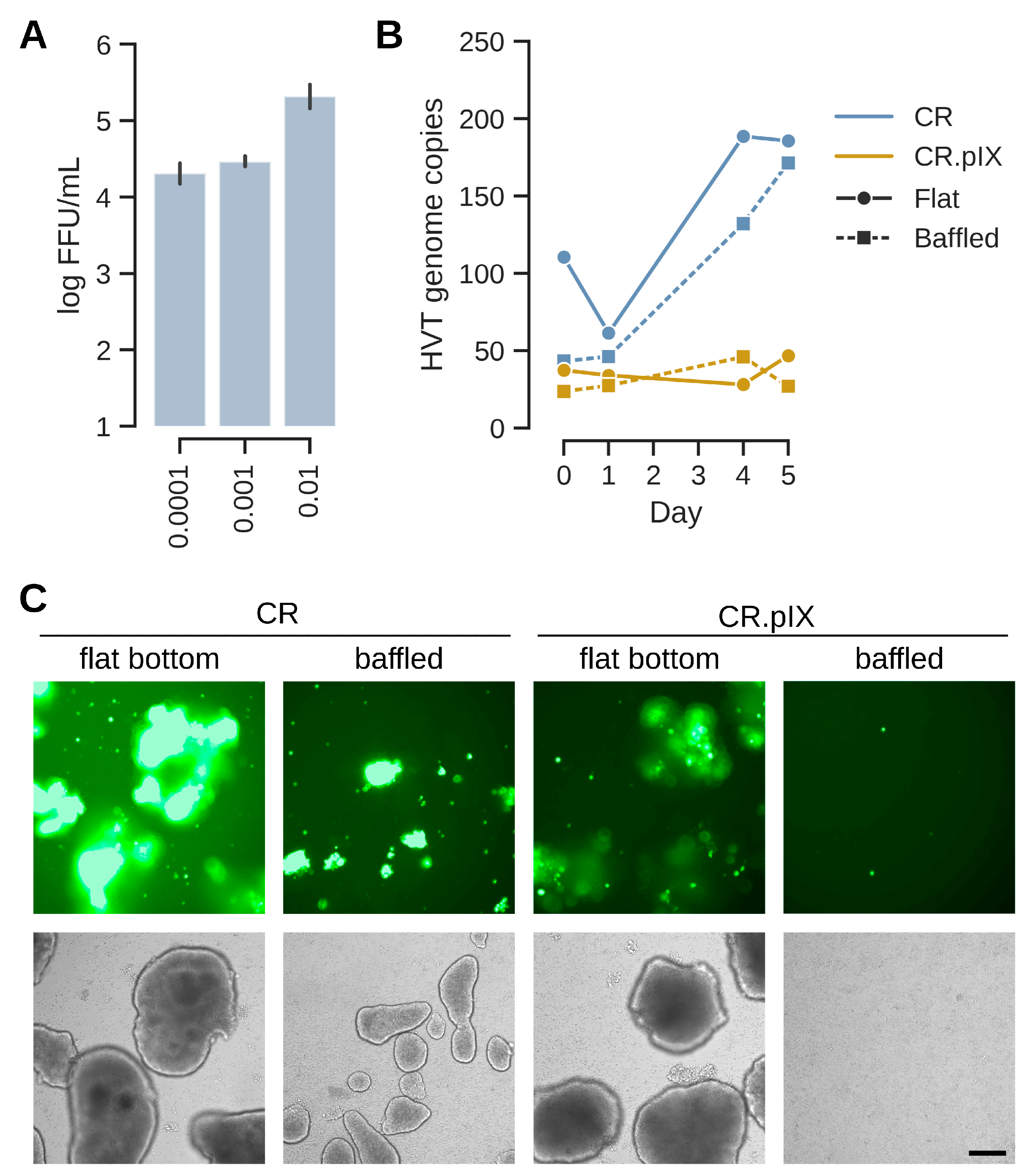 Vaccines 13 00714 g004