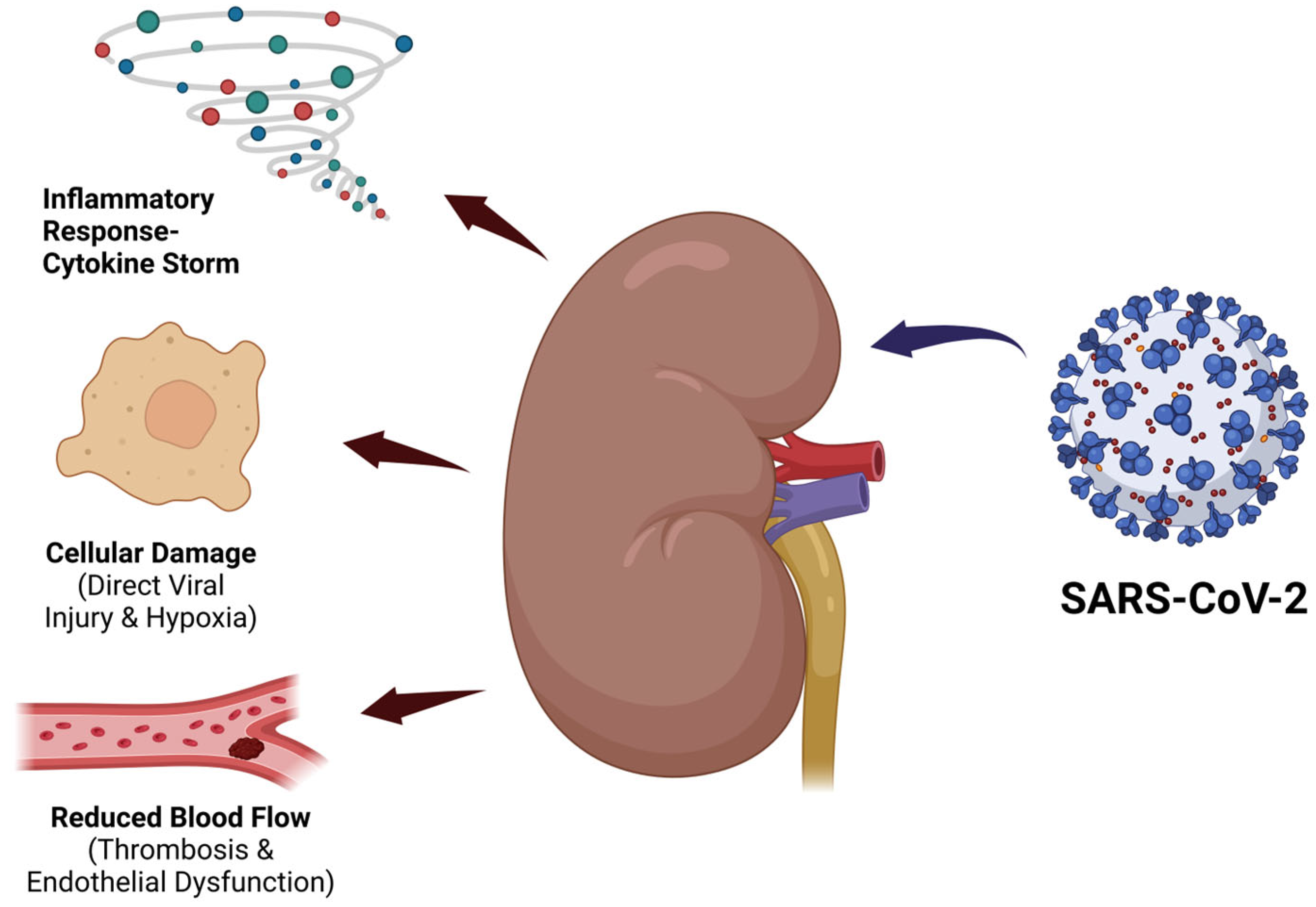 Vaccines 13 00723 g002