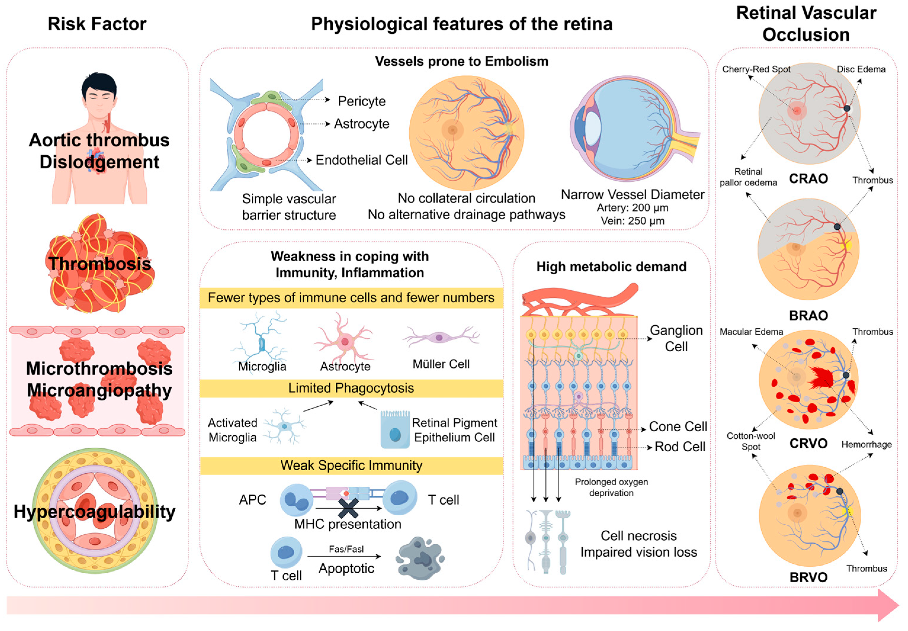 Vaccines 13 00733 g003