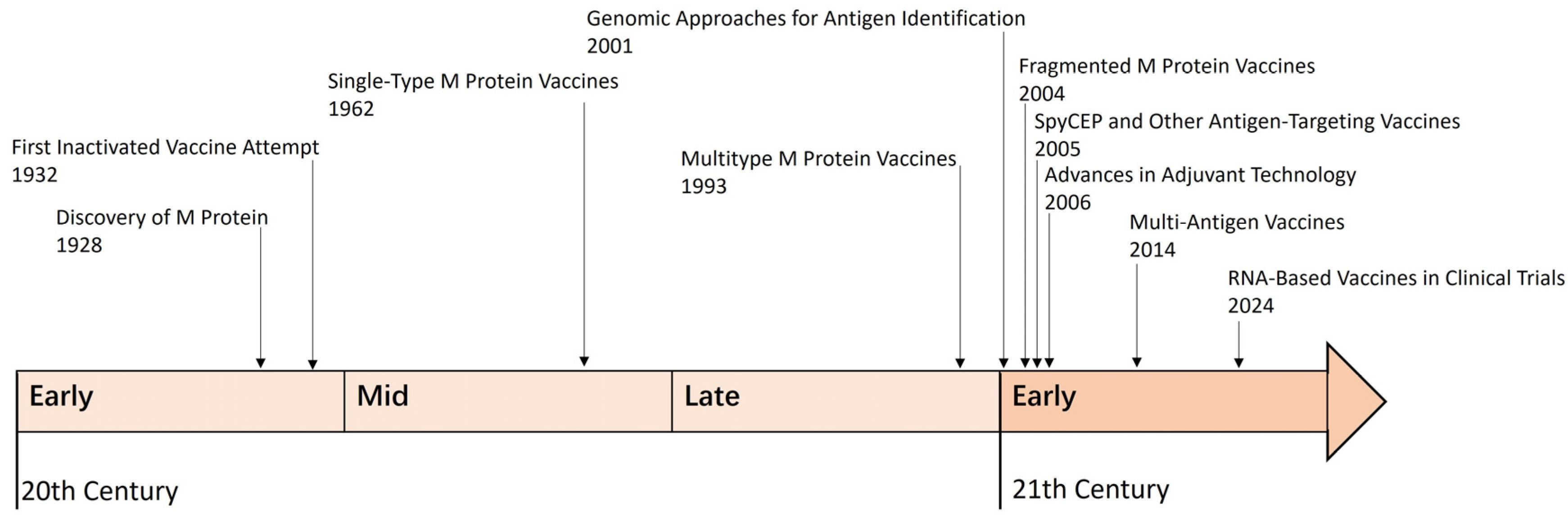 Vaccines 13 00734 g001