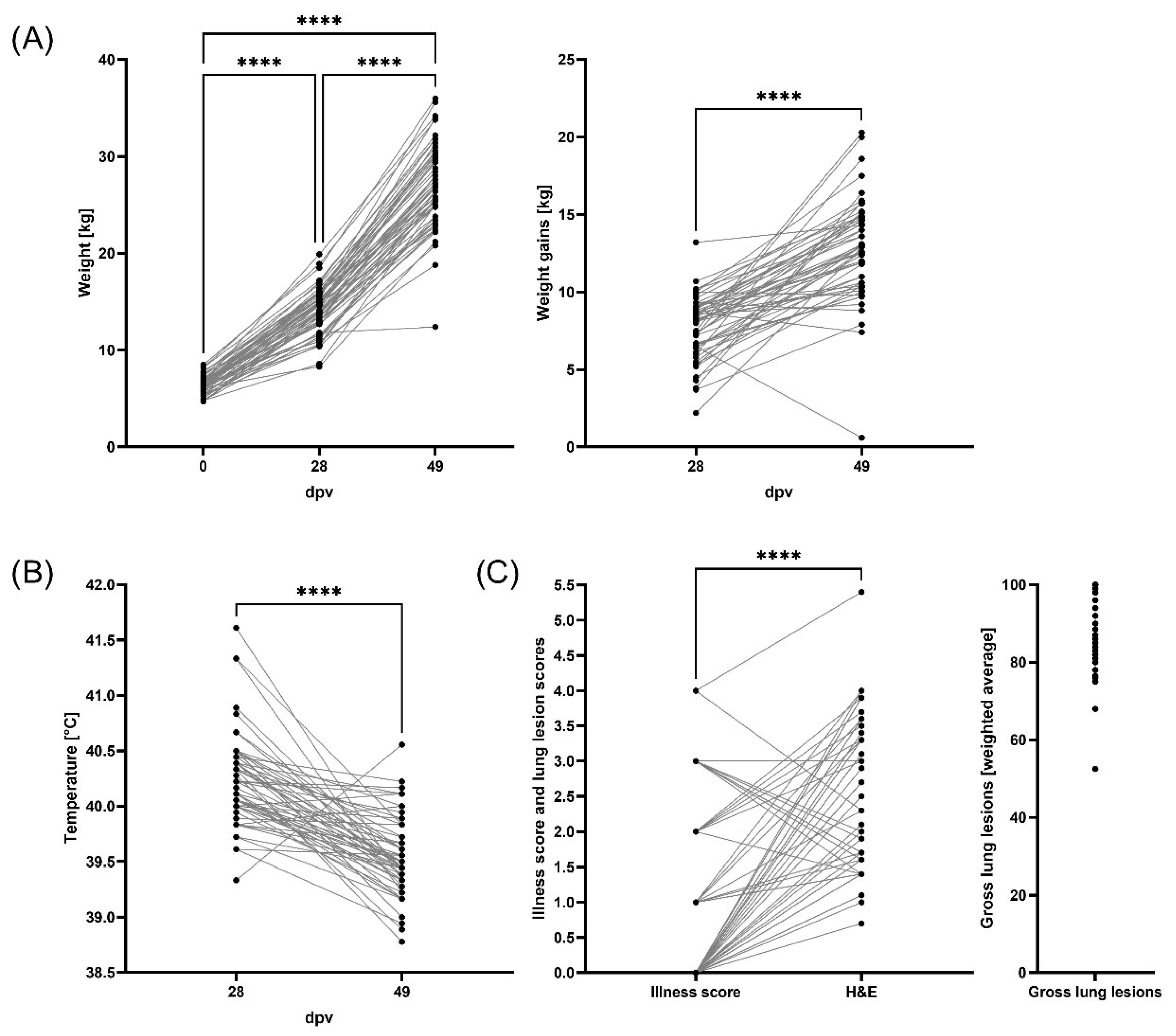 Vaccines 13 00740 g002