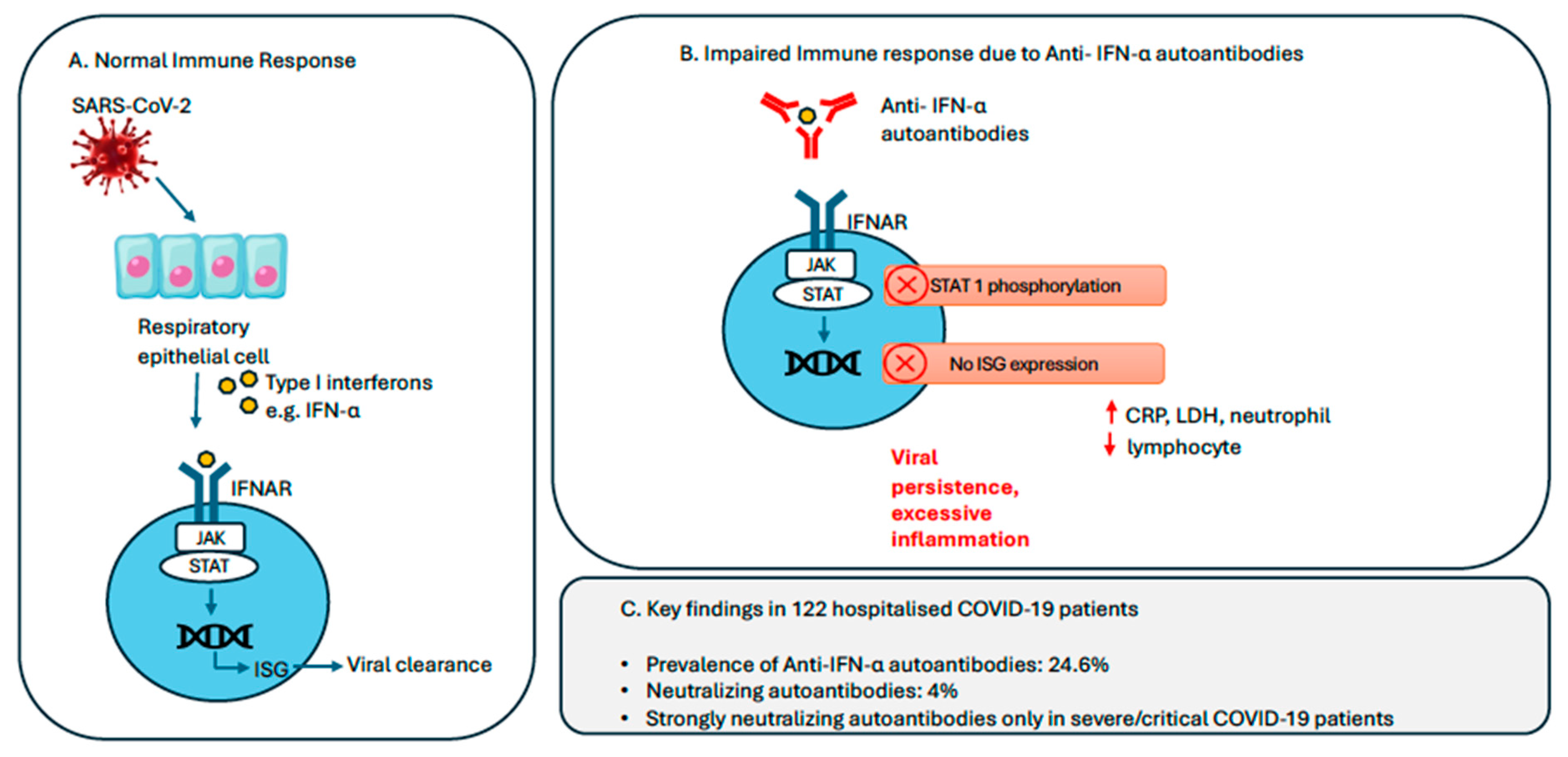 Vaccines 13 00742 g003