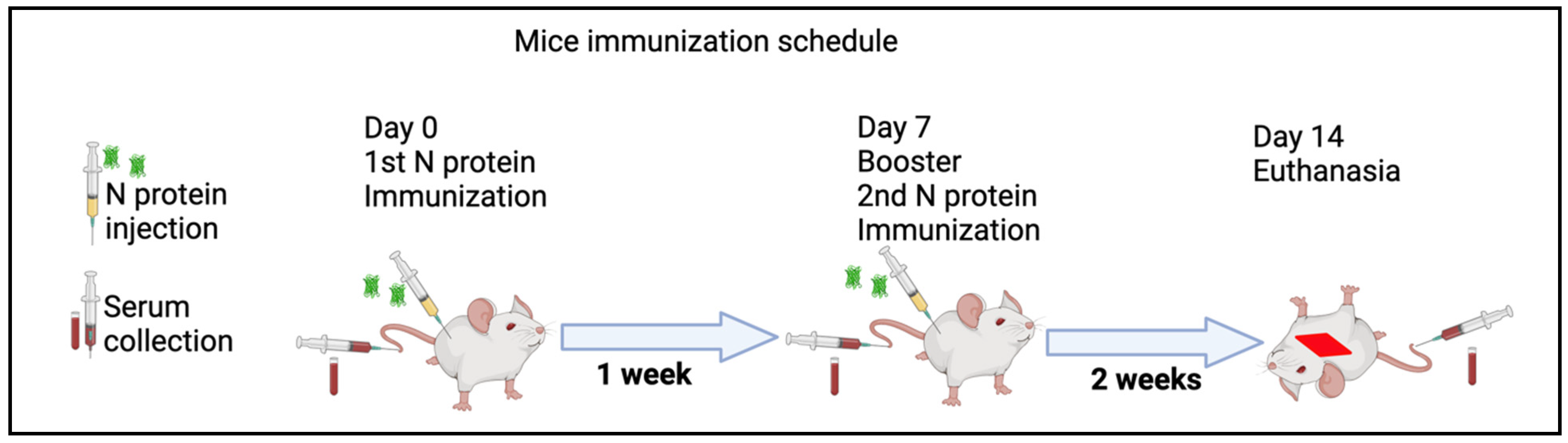 Vaccines 13 00744 g001