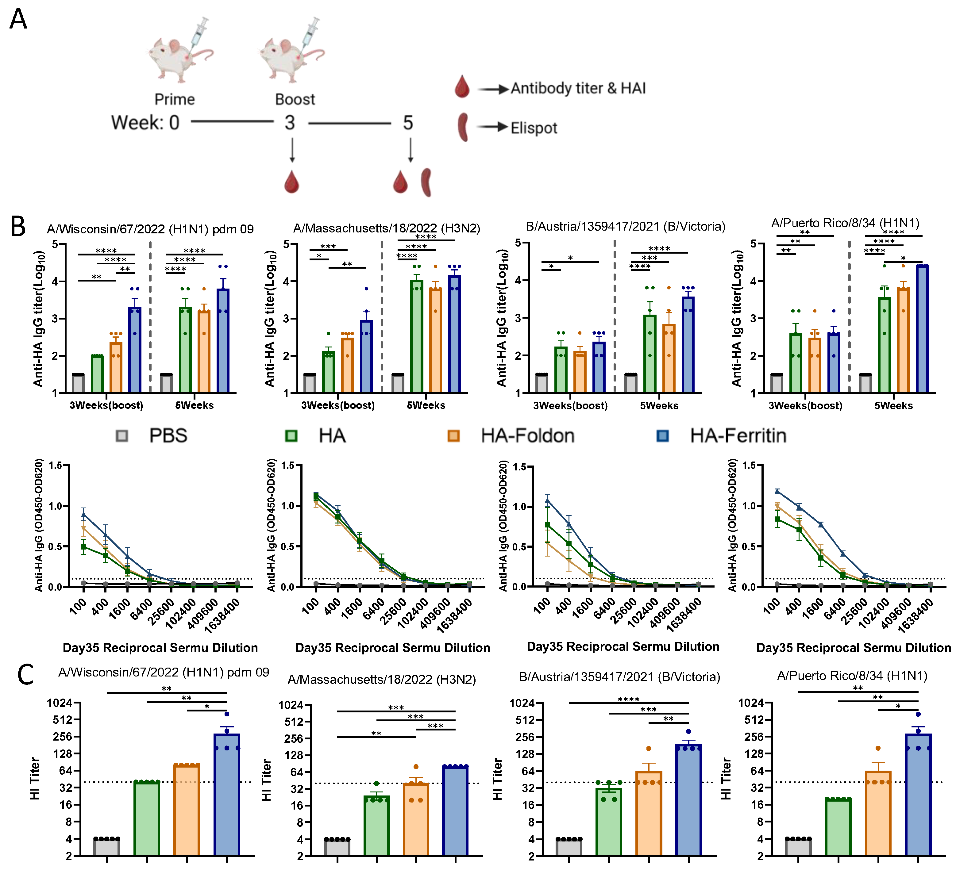 Vaccines 13 00745 g002