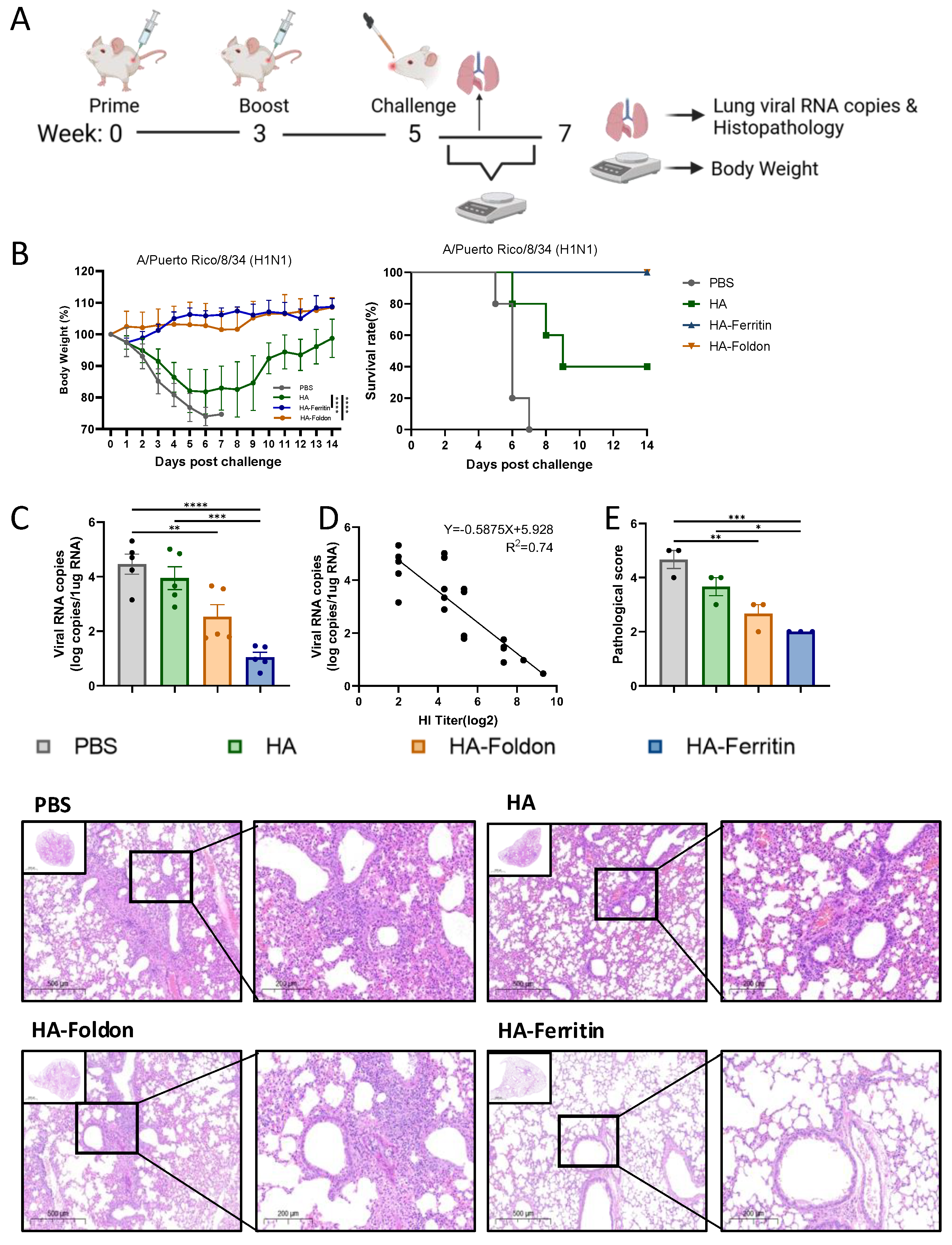 Vaccines 13 00745 g004