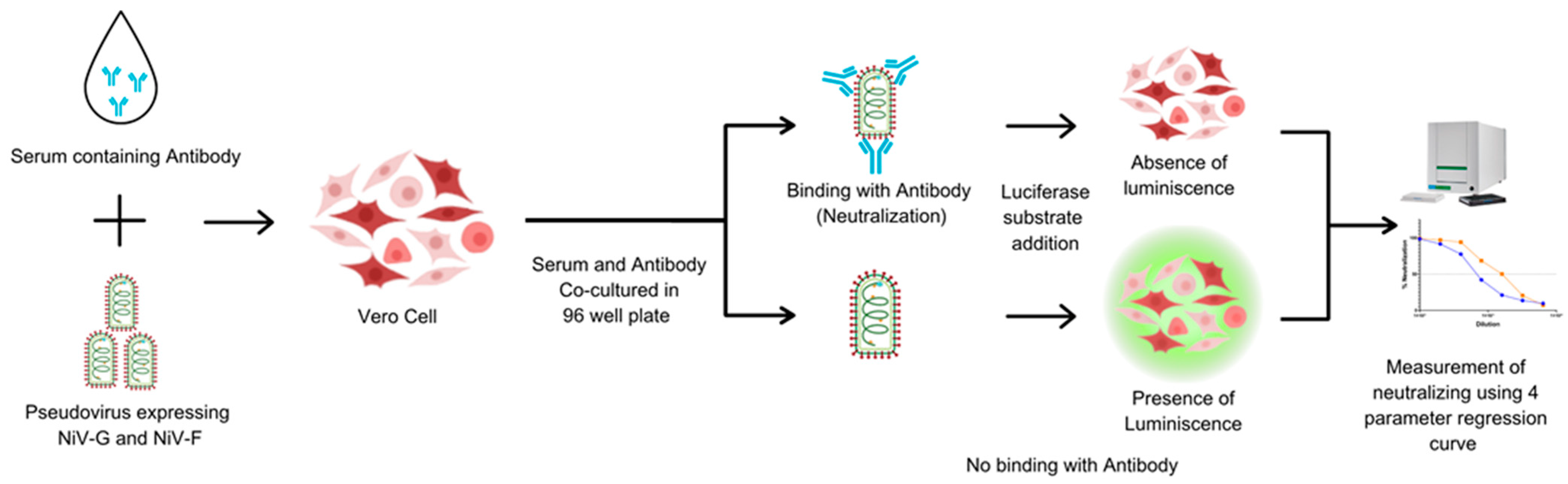 Vaccines 13 00753 g002