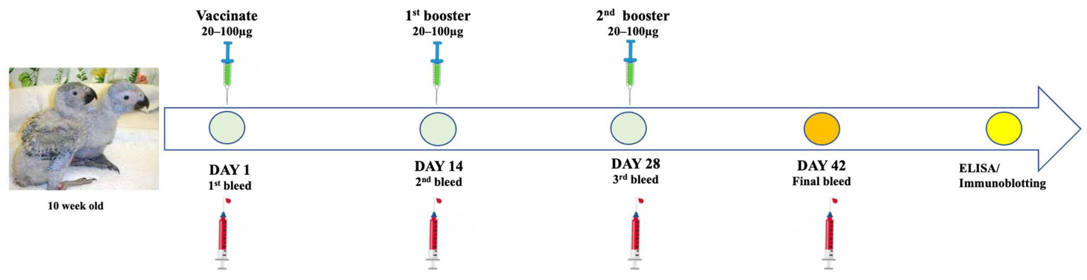 Vaccines 13 00762 g002
