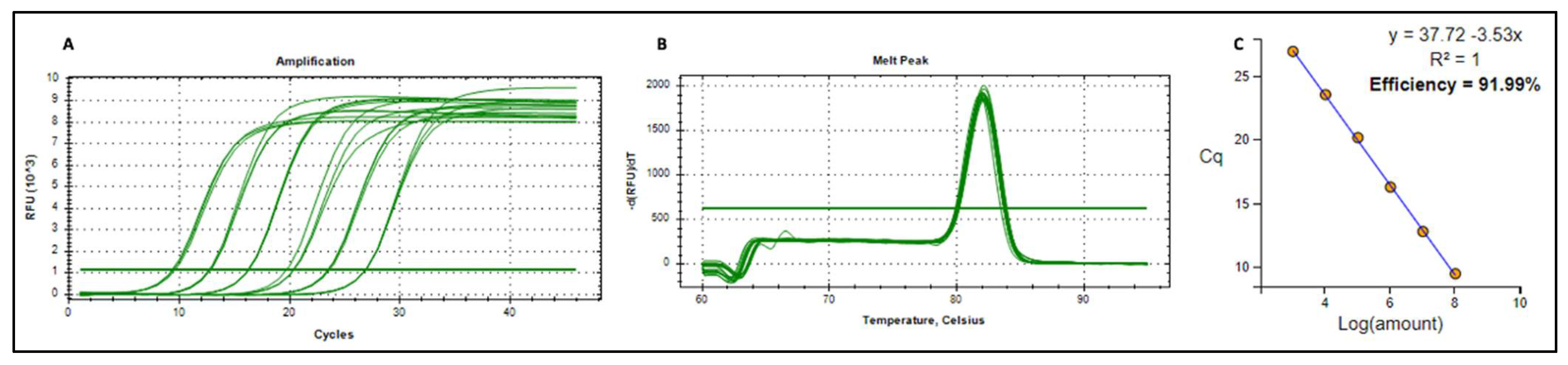Vaccines 13 00762 g0a1