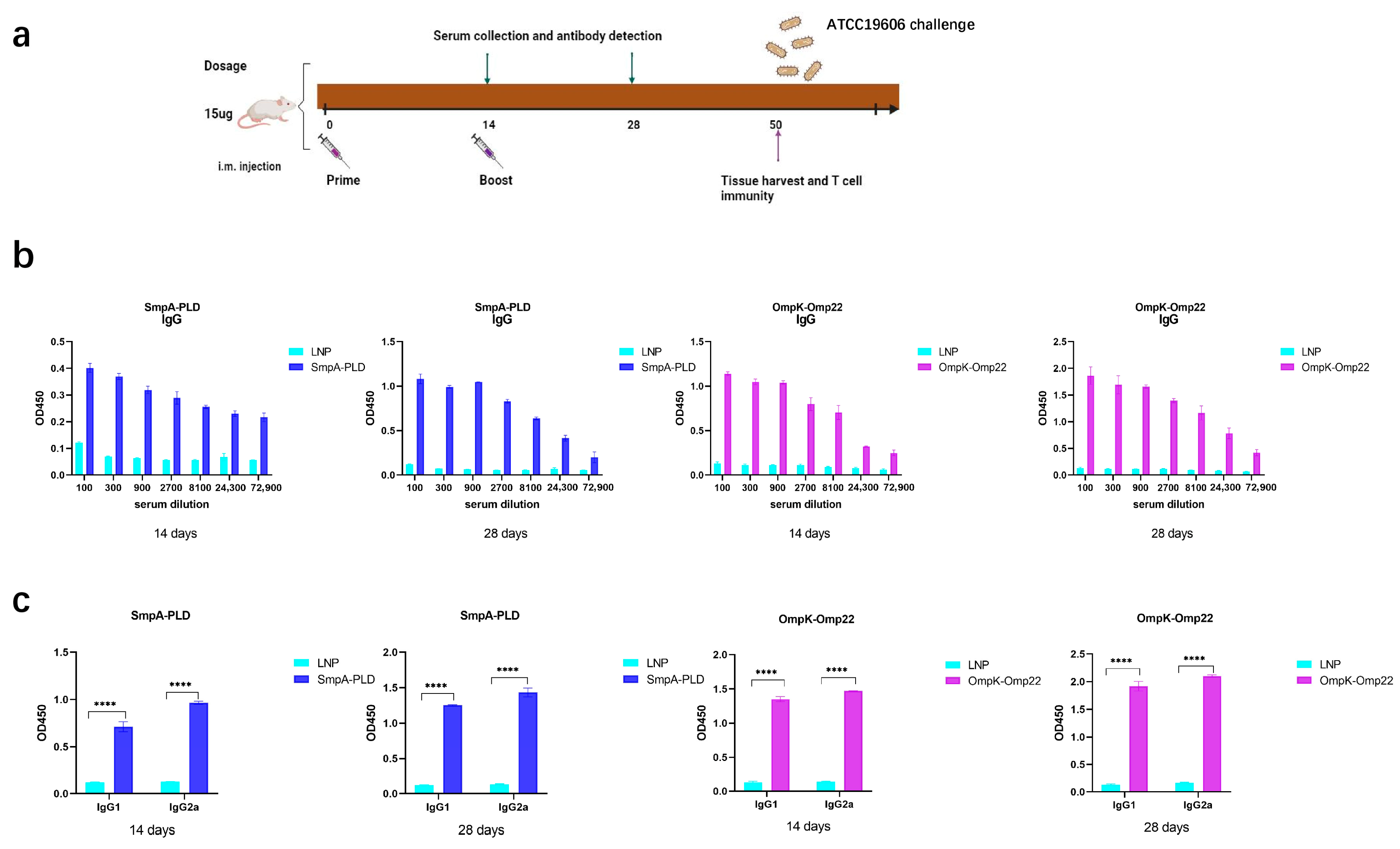 Vaccines 13 00764 g002