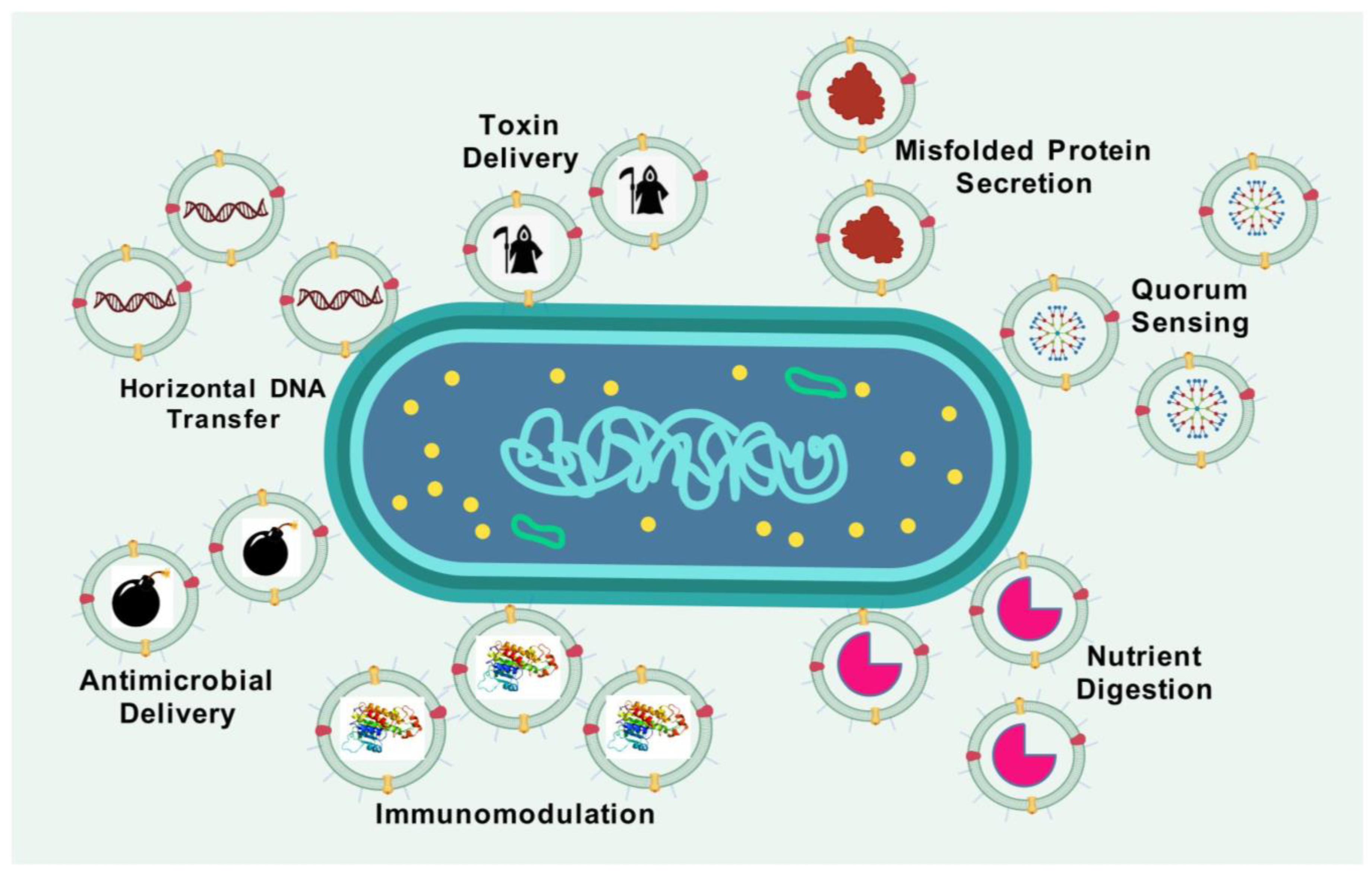 Vaccines 13 00767 g001 Vaccines 13 00767 g001