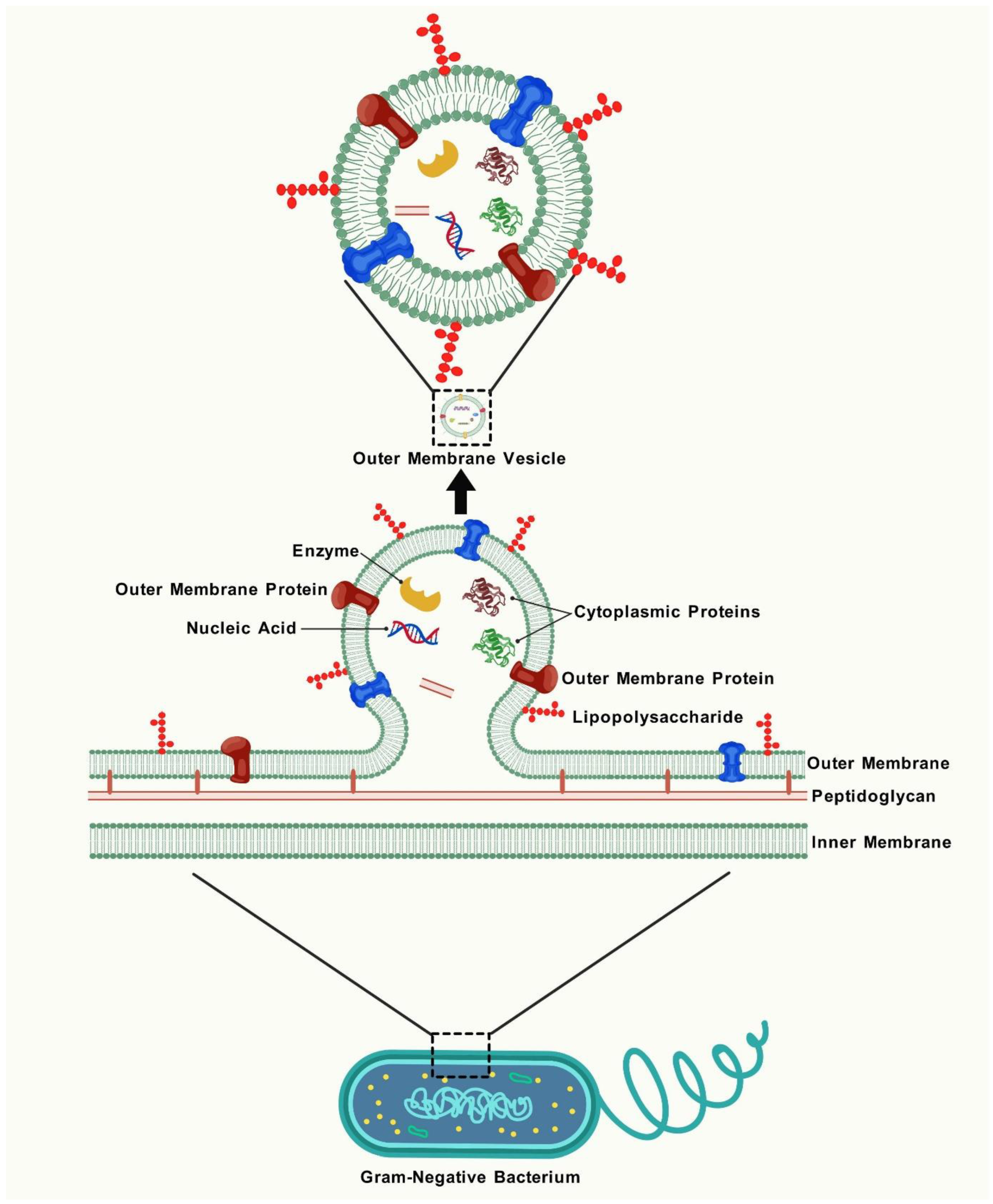 Vaccines 13 00767 g002 Vaccines 13 00767 g002