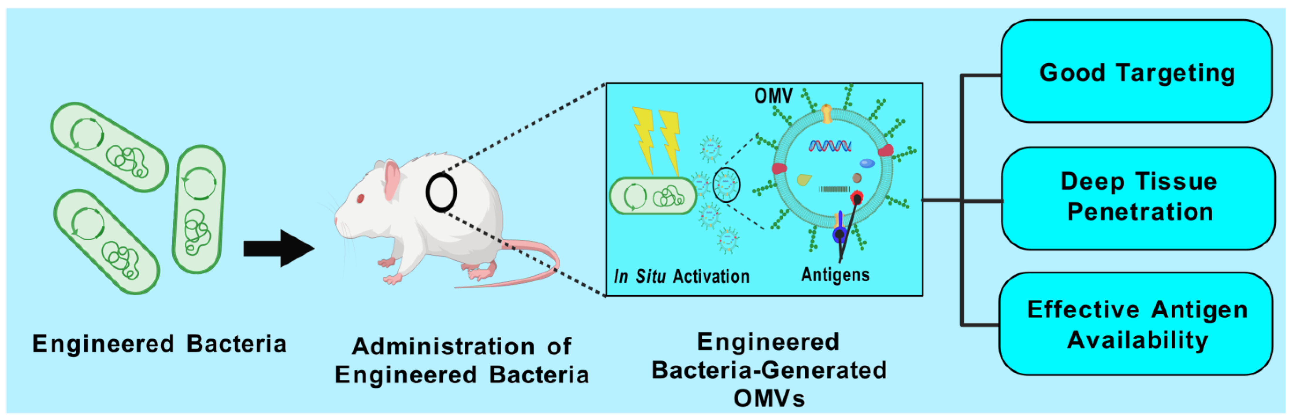 Vaccines 13 00767 g005 Vaccines 13 00767 g005